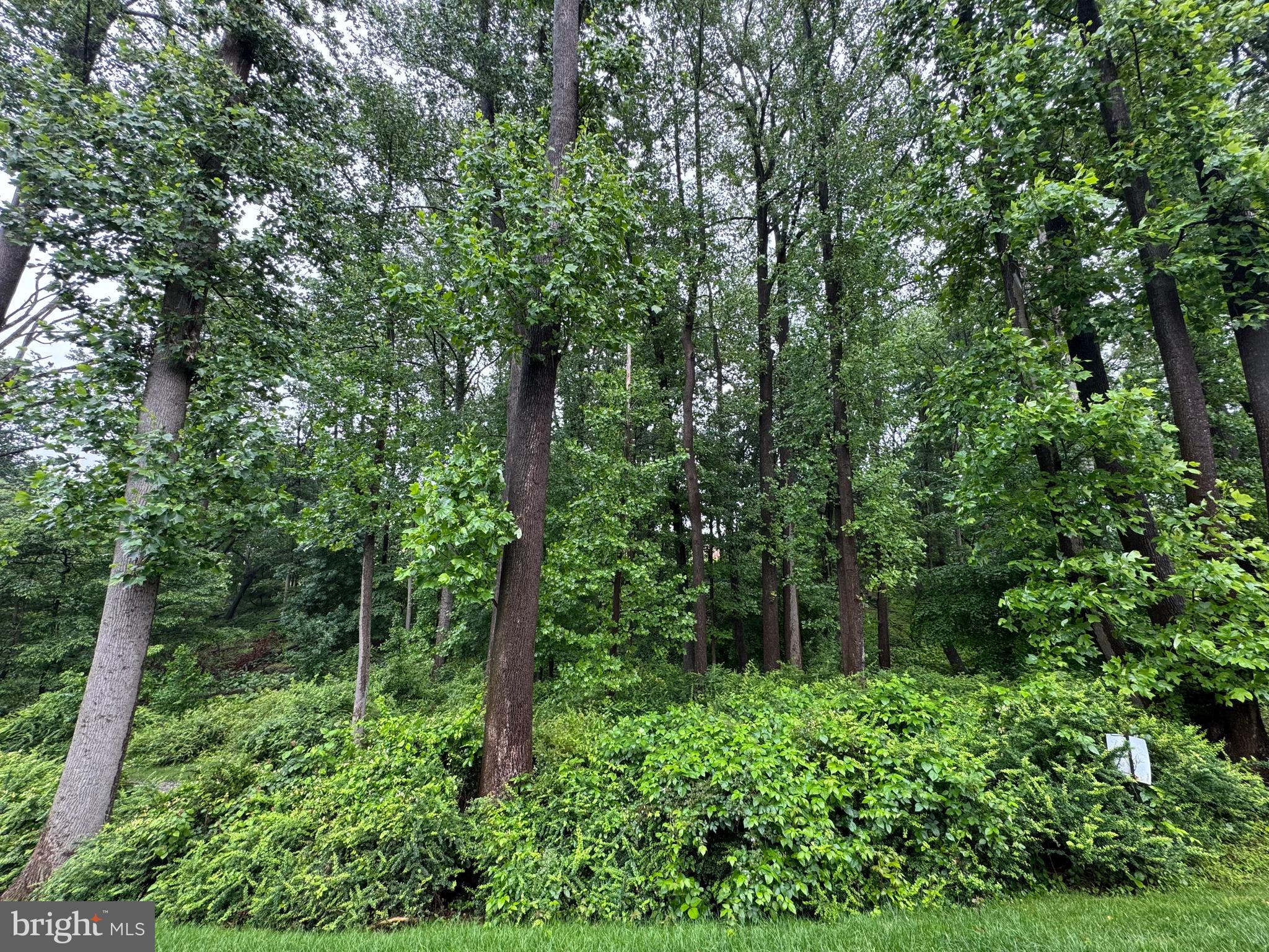 ESTATES AT PATAPSCO PARK - Residential