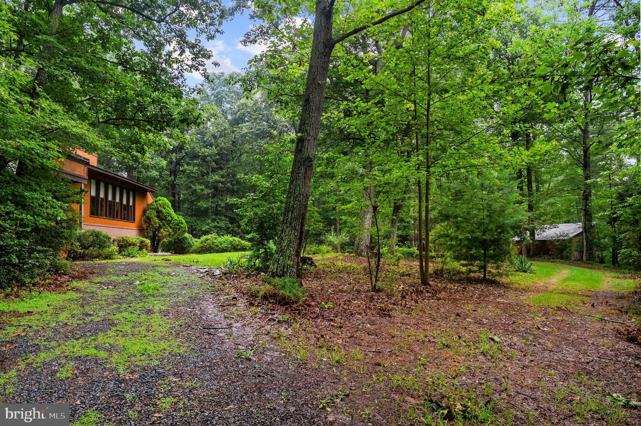 554 ARRINGTON MOUNTAIN ROAD