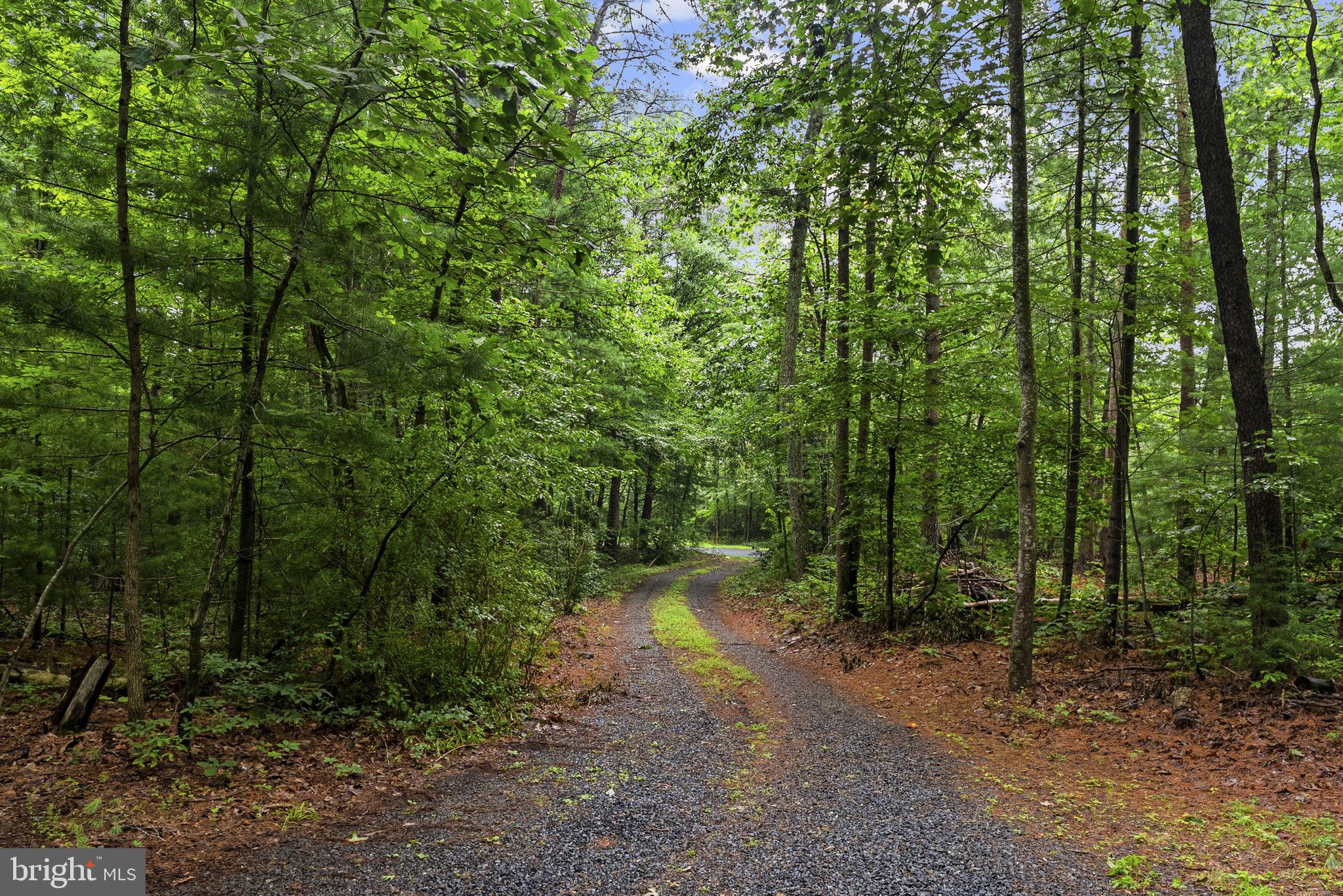 554 ARRINGTON MOUNTAIN ROAD