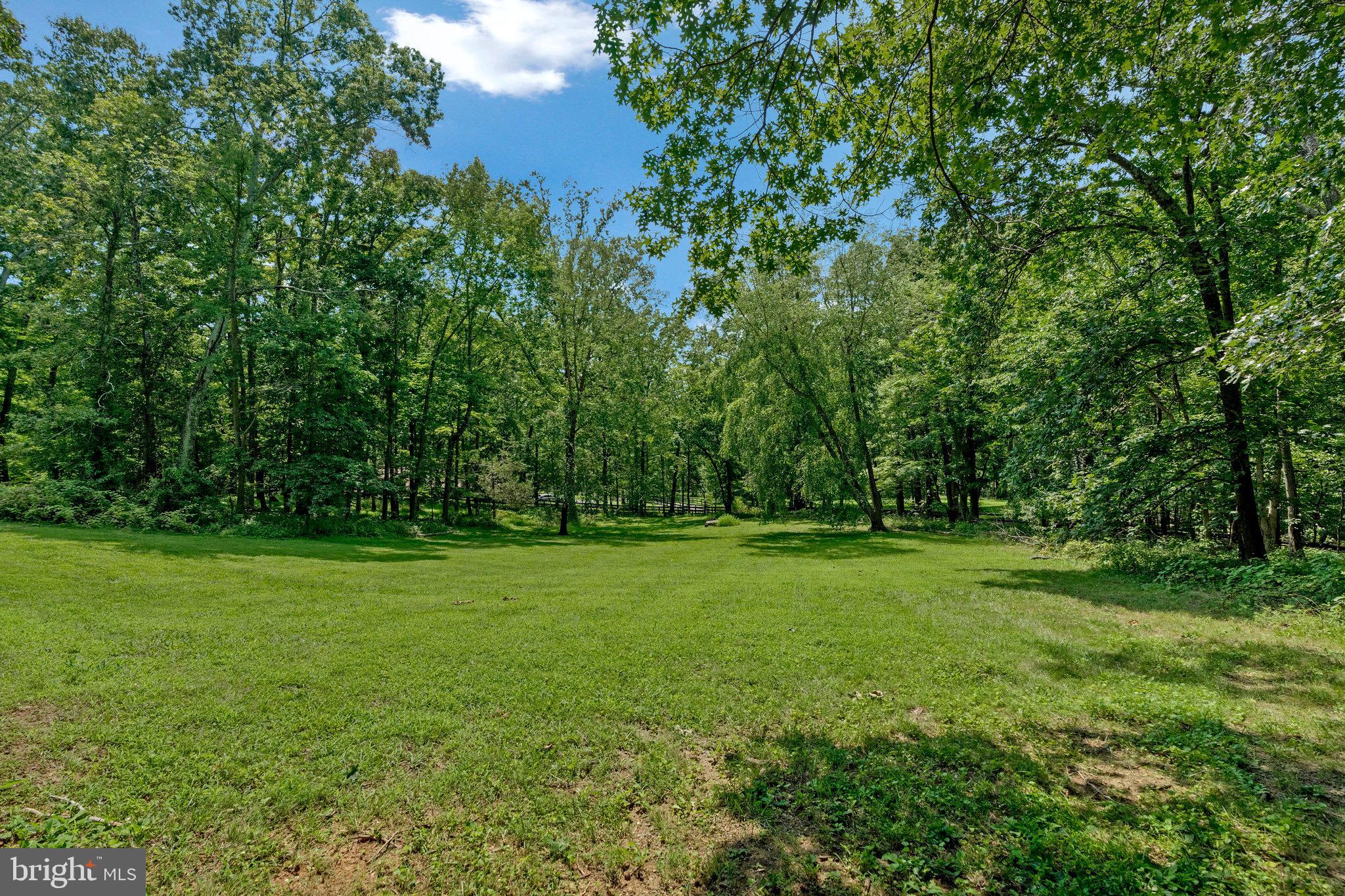 SCATTERED PINE - Residential