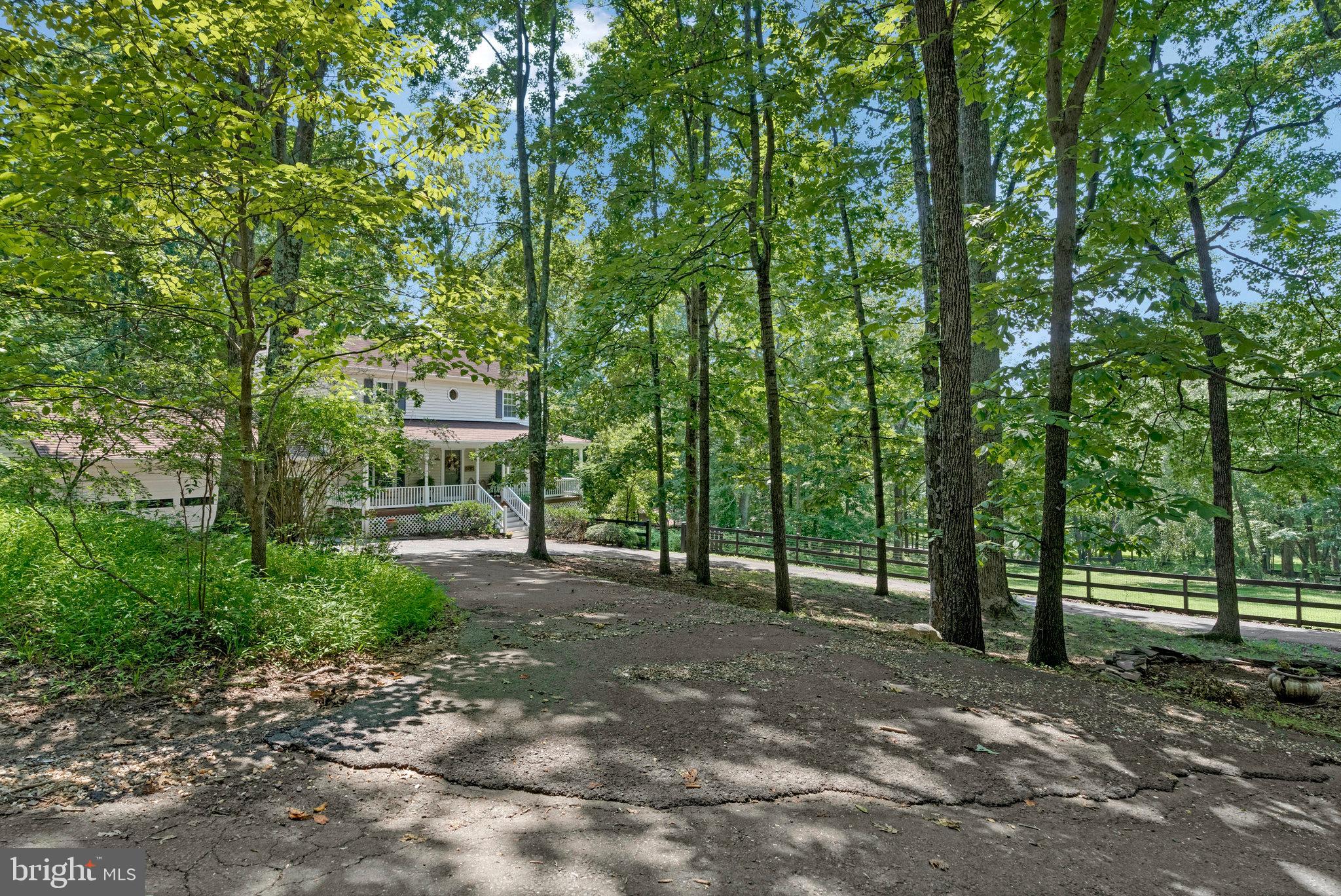 SCATTERED PINE - Residential