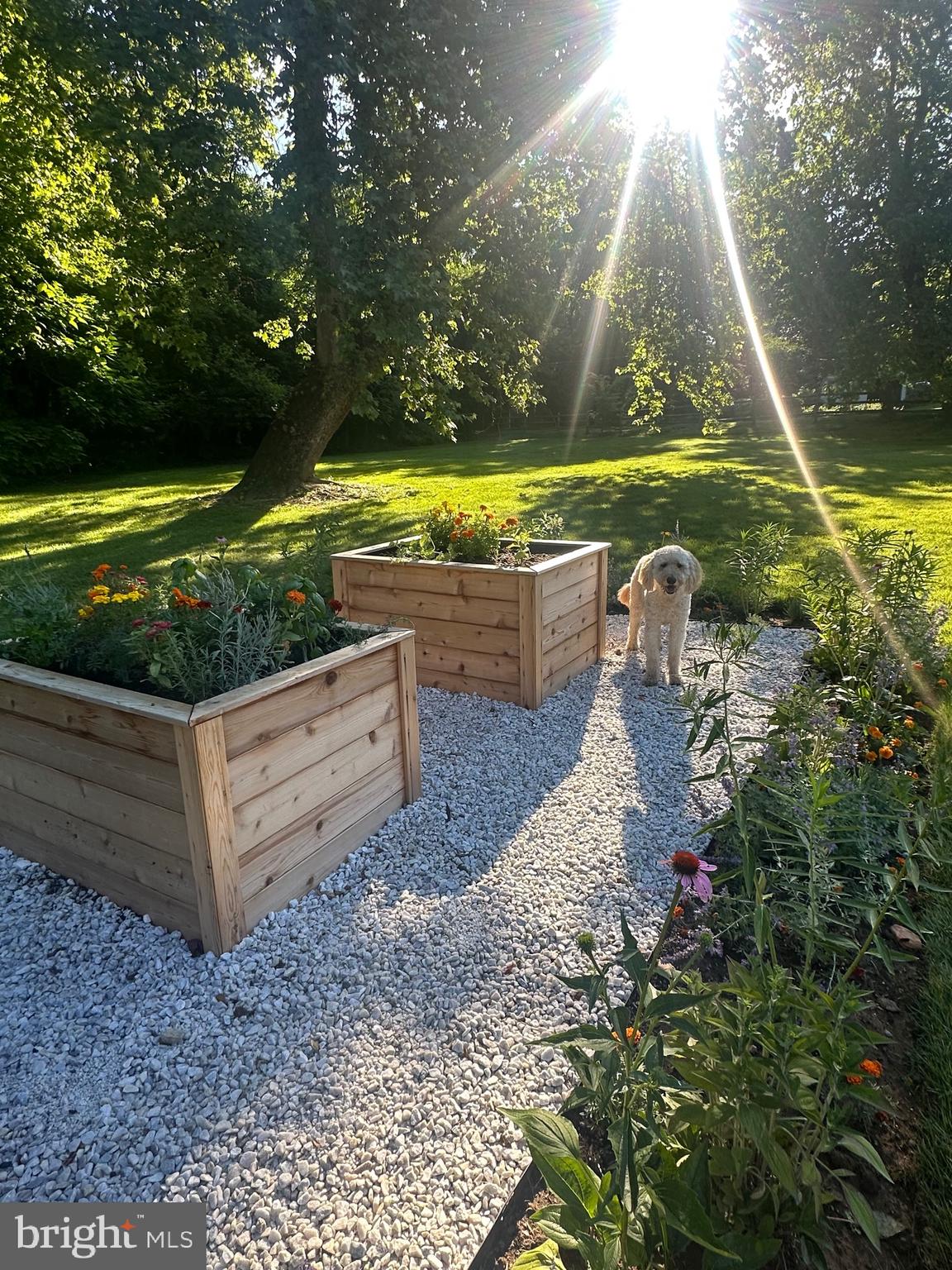 RUXTON - Residential