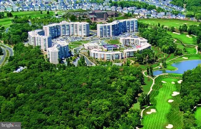 BLUE RIDGE LEISURE WORLD - Residential Lease