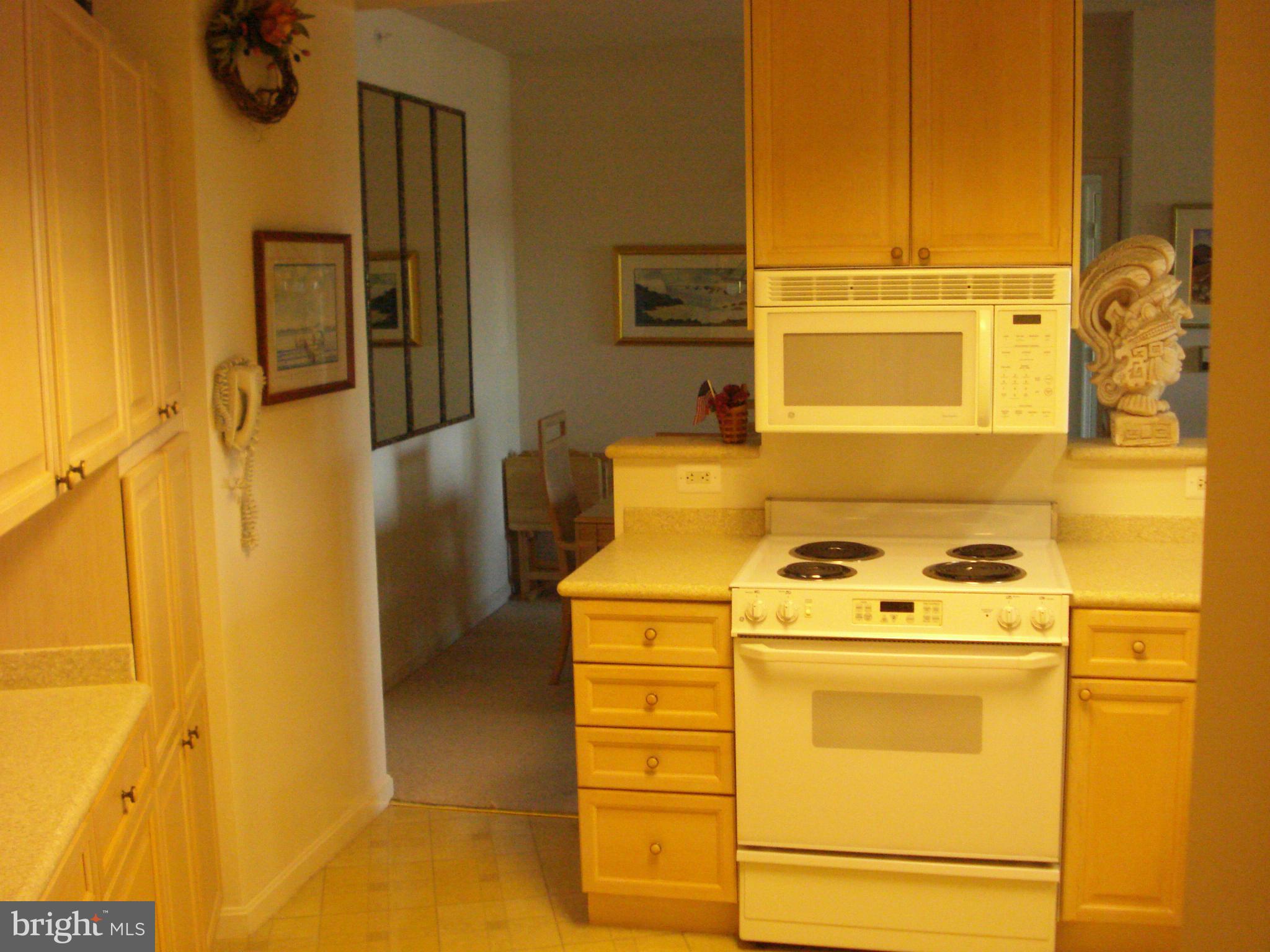 BLUE RIDGE LEISURE WORLD - Residential Lease