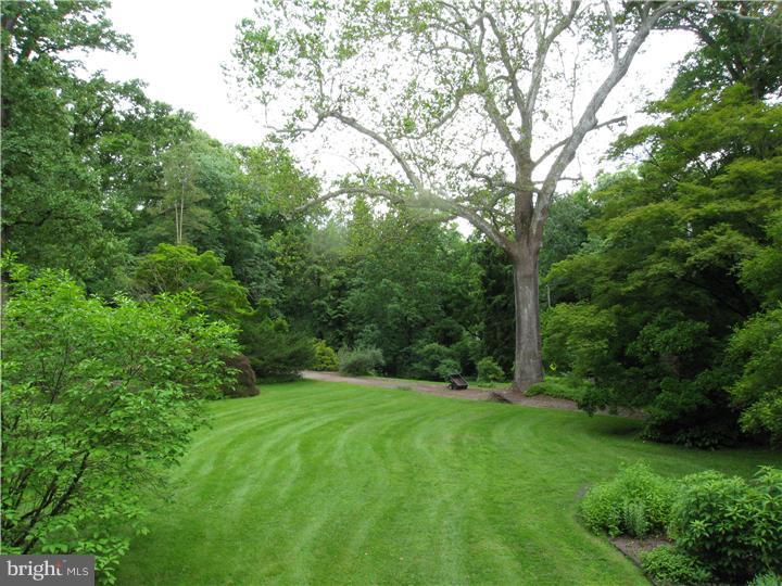 CHESTNUT HILL - Residential