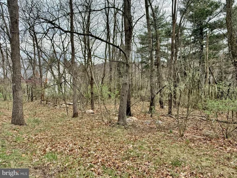 MLS: WVMI2003328