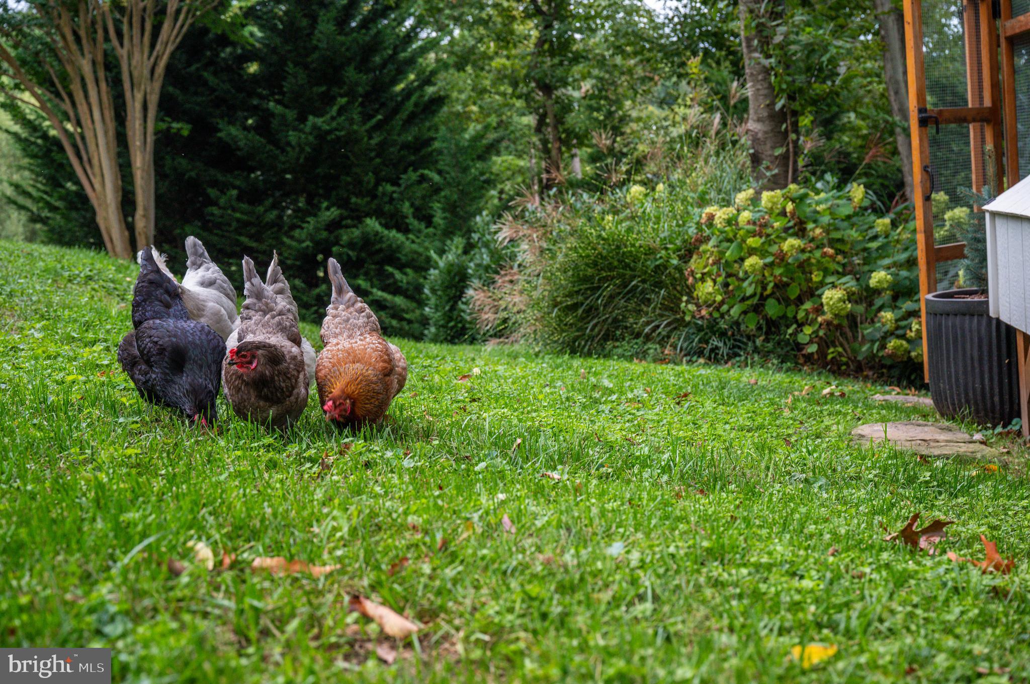 GLENMOORE - Residential