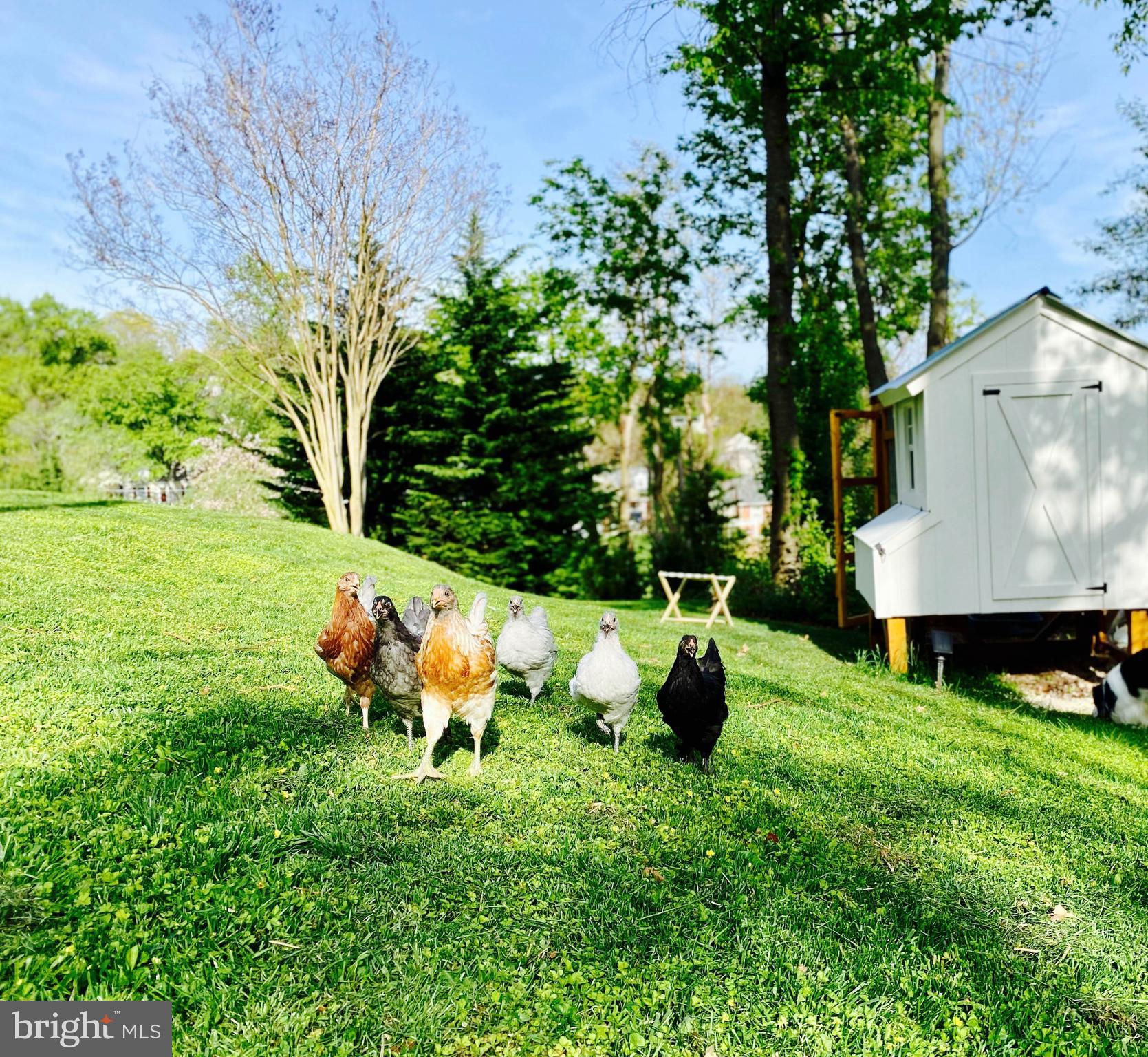 GLENMOORE - Residential