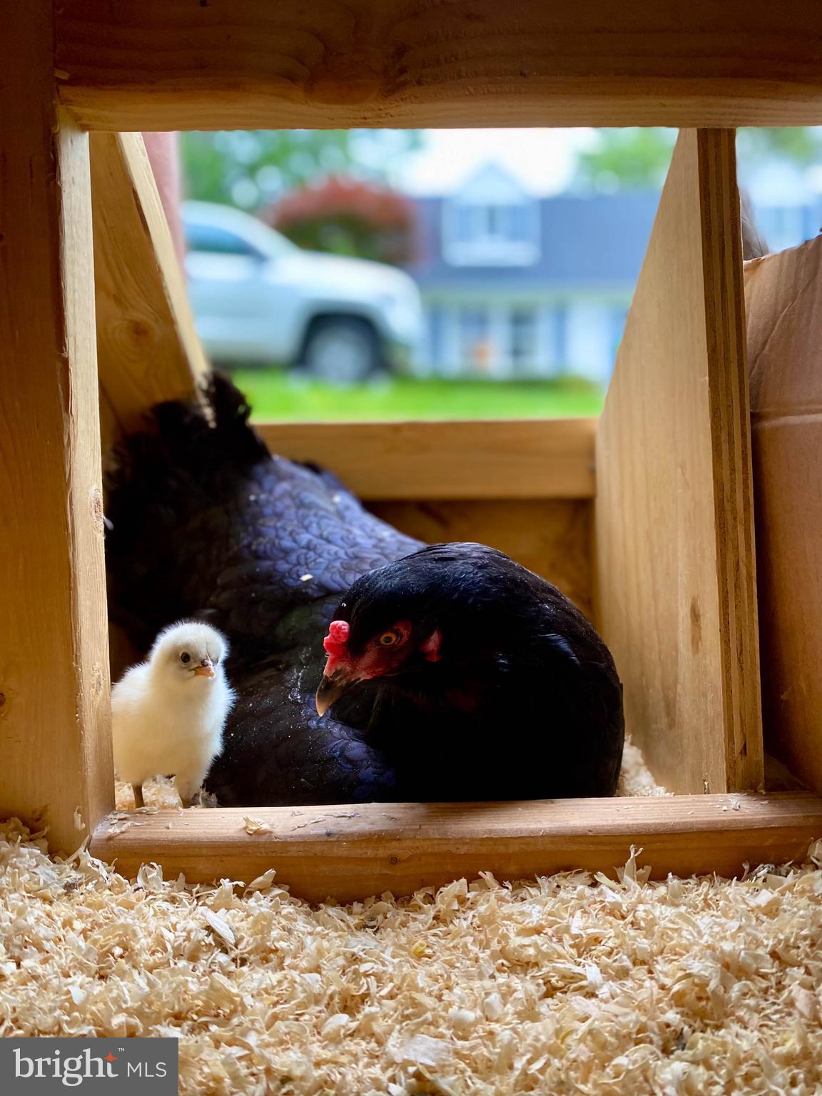 GLENMOORE - Residential