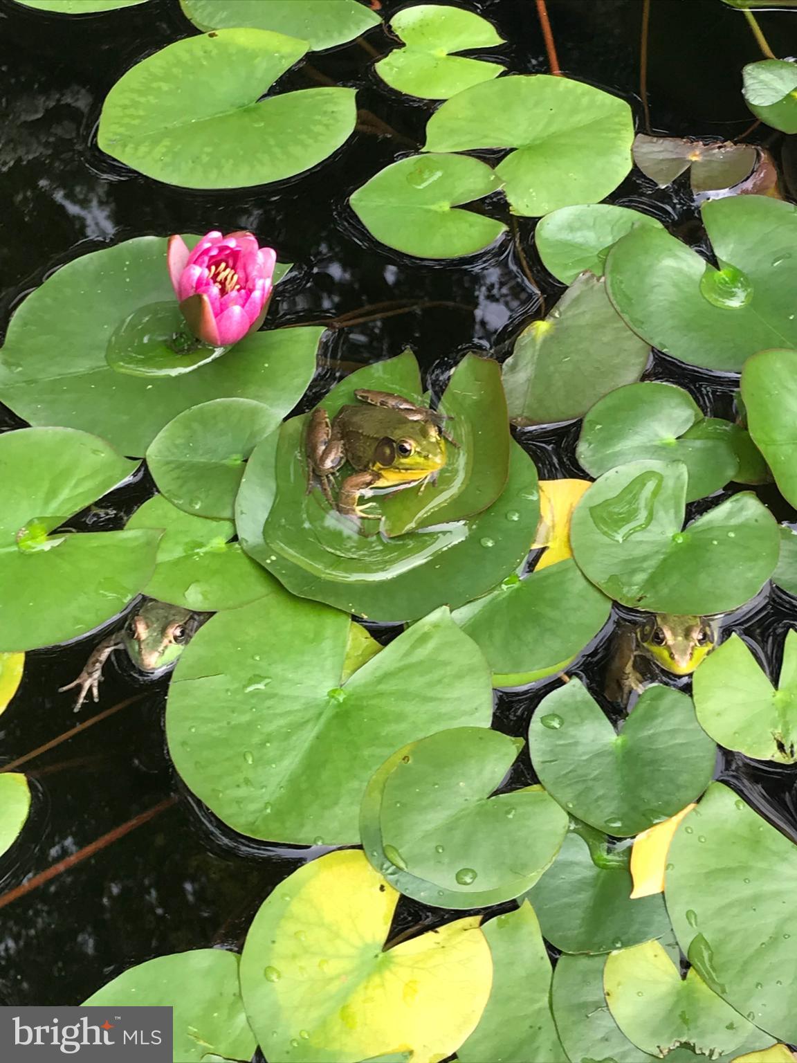 GLENMOORE - Residential