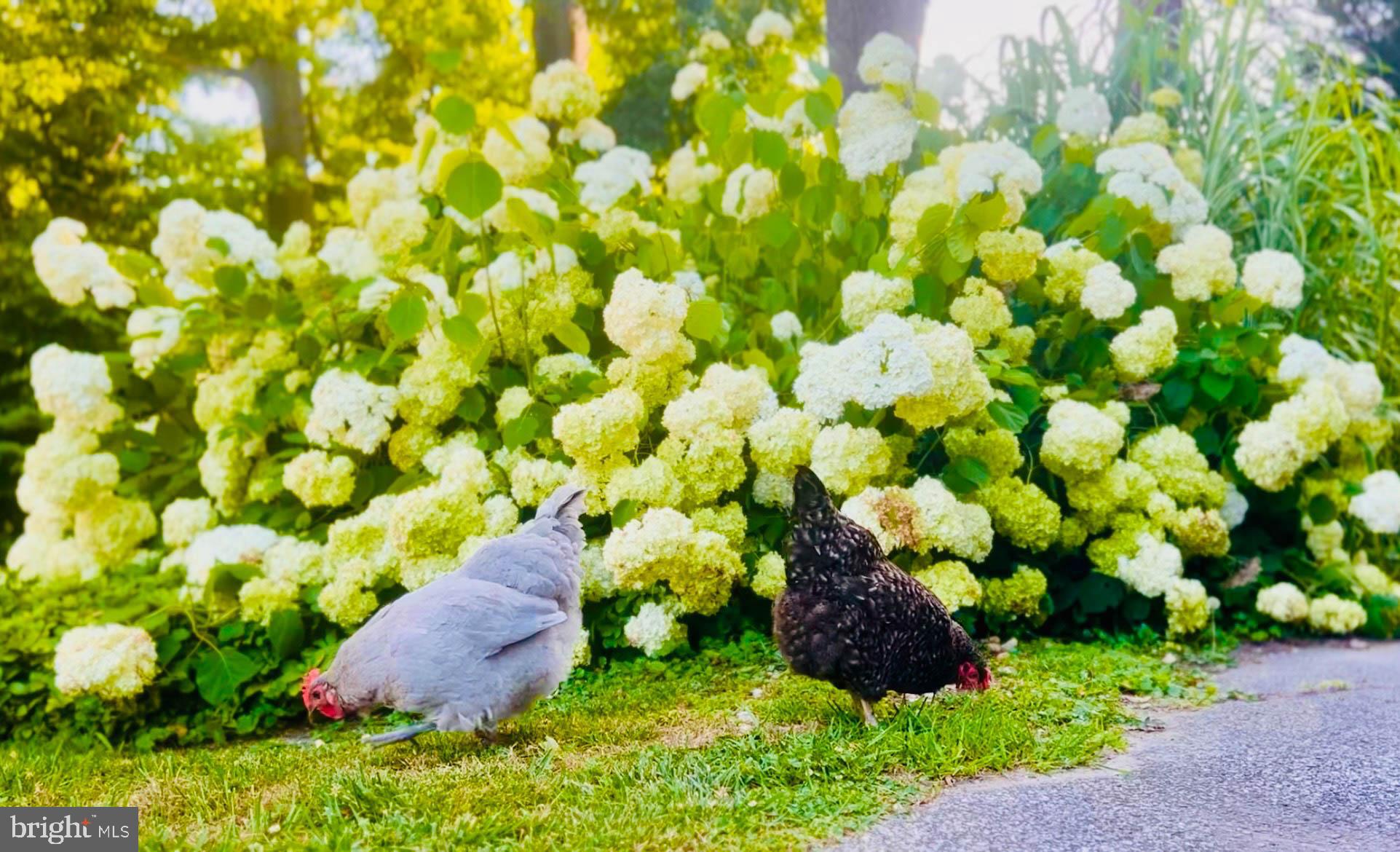 GLENMOORE - Residential