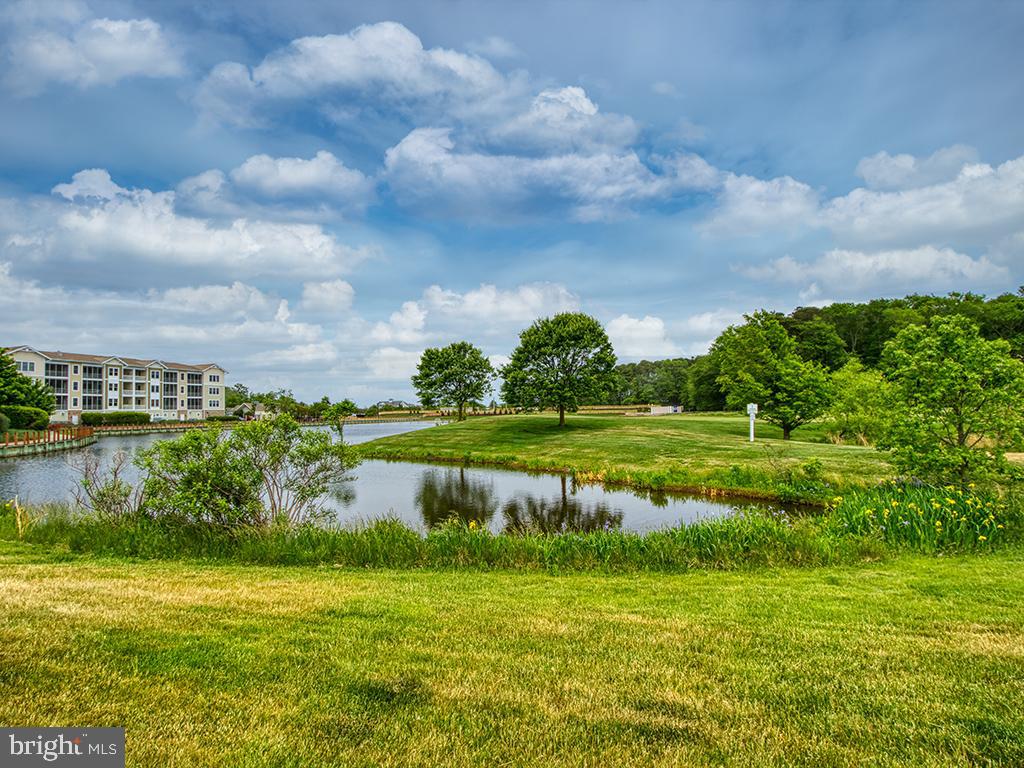 31738 LAKEVIEW DRIVE 203