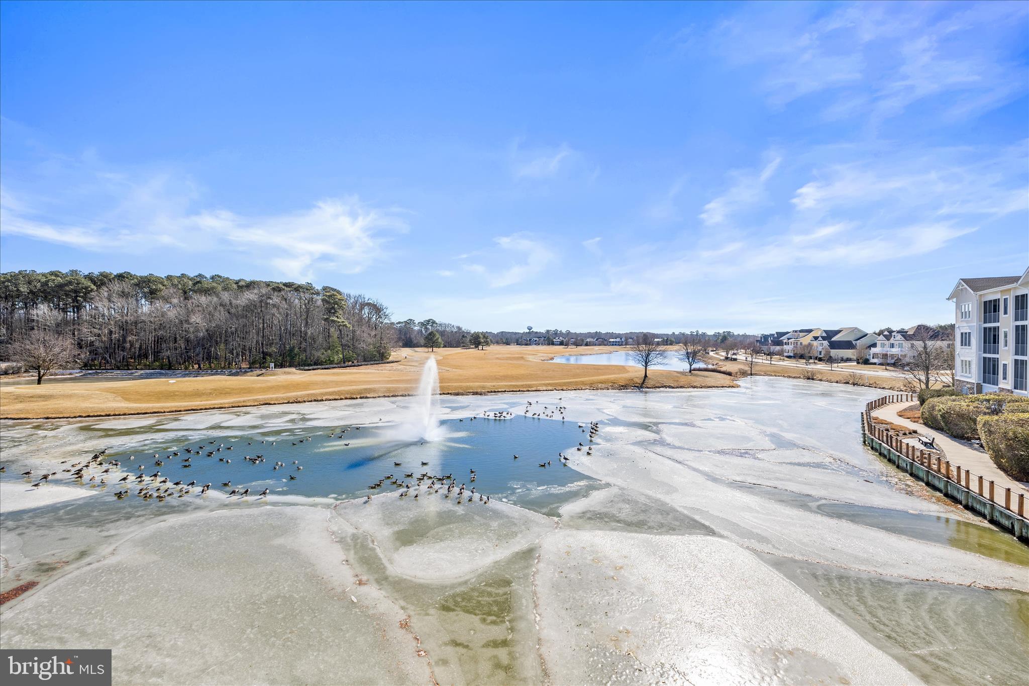 31738 LAKEVIEW DRIVE 203