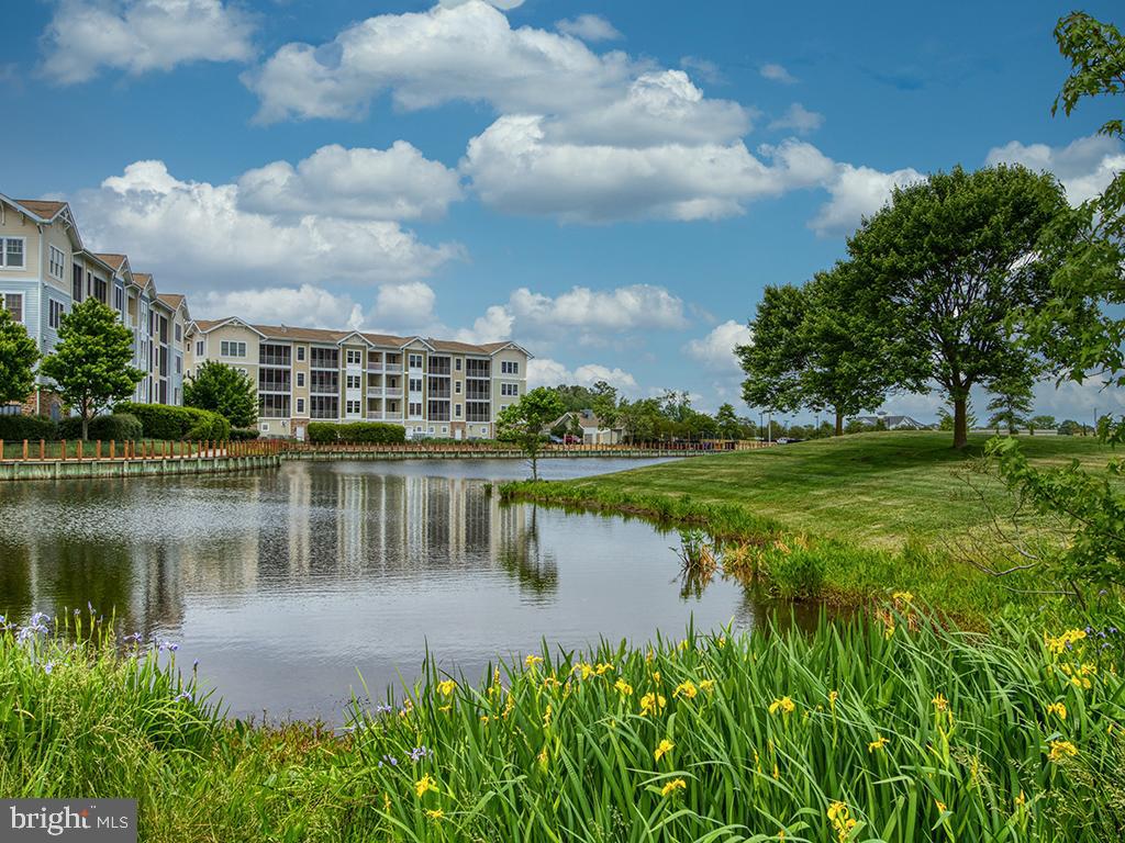 31738 LAKEVIEW DRIVE 203