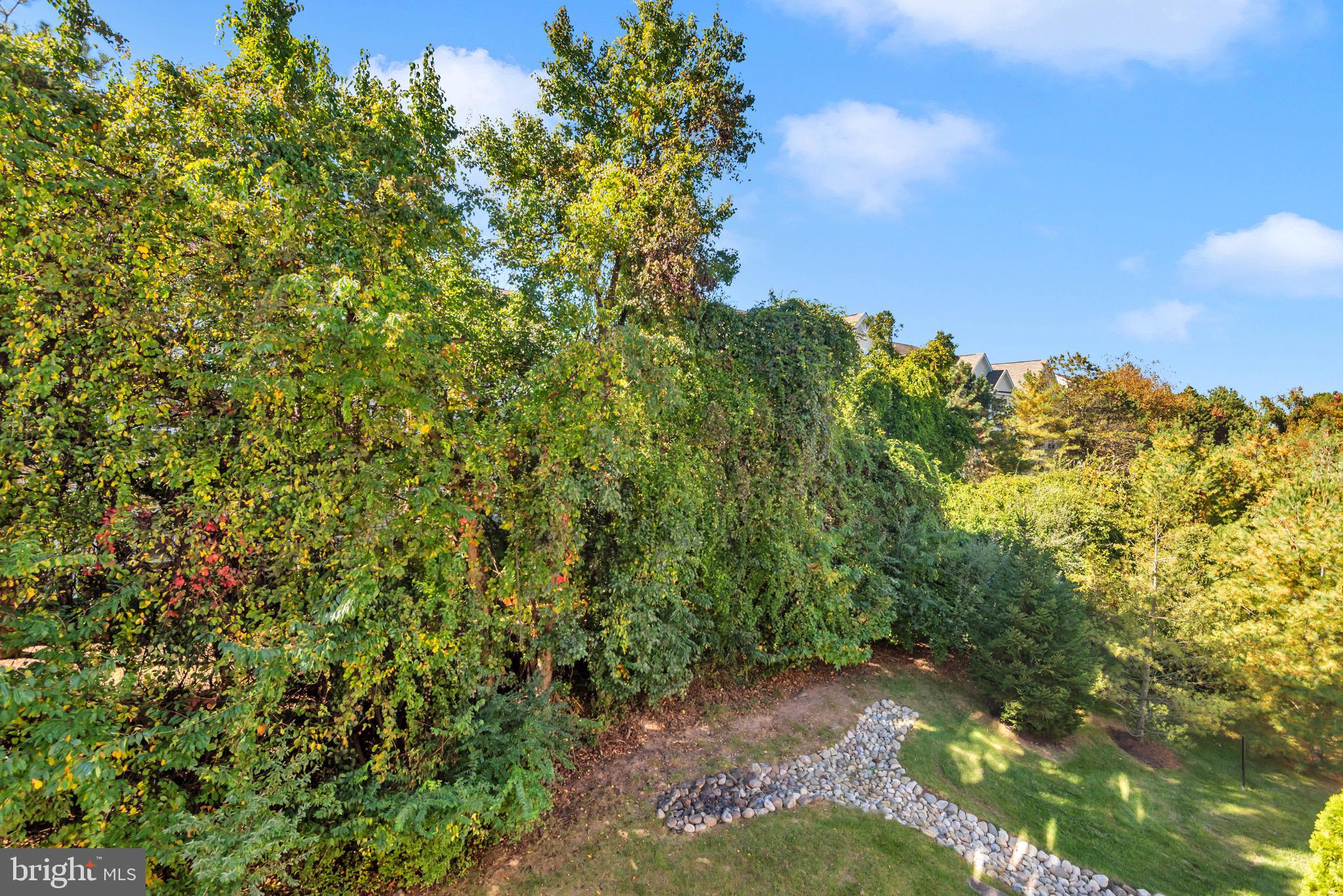 PINEY ORCHARD - Residential