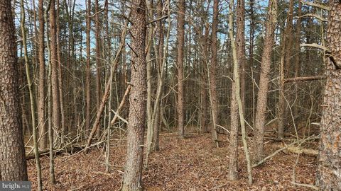 Photo of 11901 Price Road NE, LITTLE ORLEANS, MD 21766 (MLS # MDAL2013576)