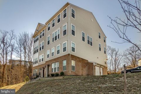 Condo For Rent - 14755 Malloy Court #15<br/> Prince William County, WOODBRIDGE, VA 22191
