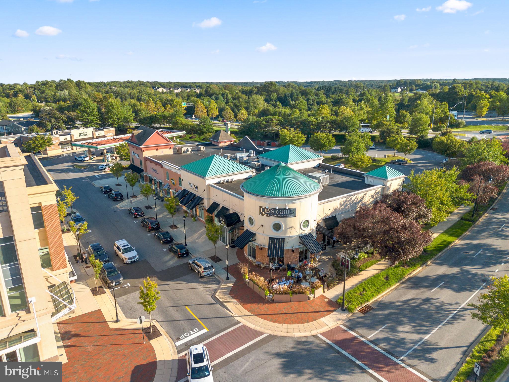 ORCHARD AT BROWNS BRIDGE - Residential