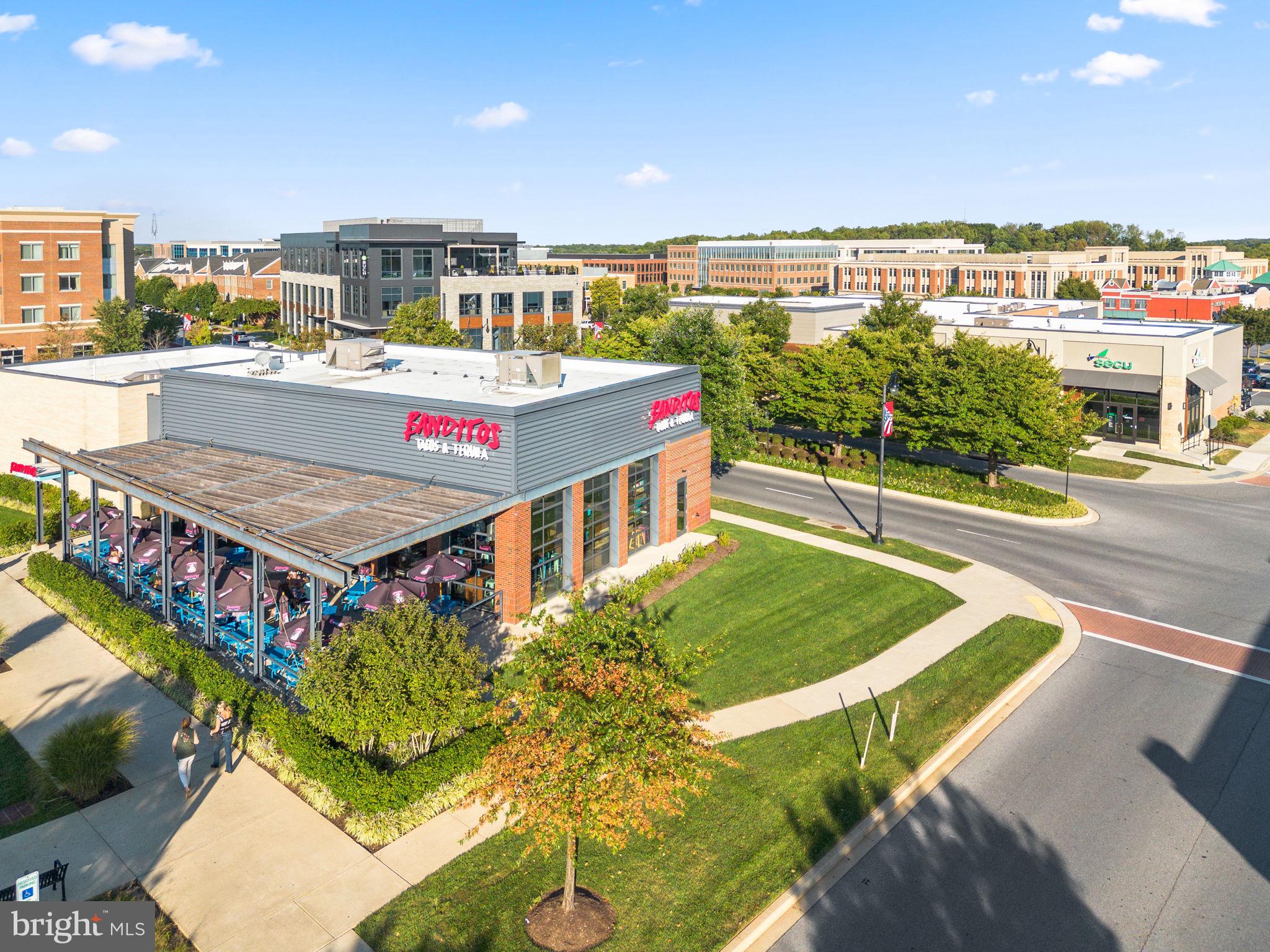 ORCHARD AT BROWNS BRIDGE - Residential