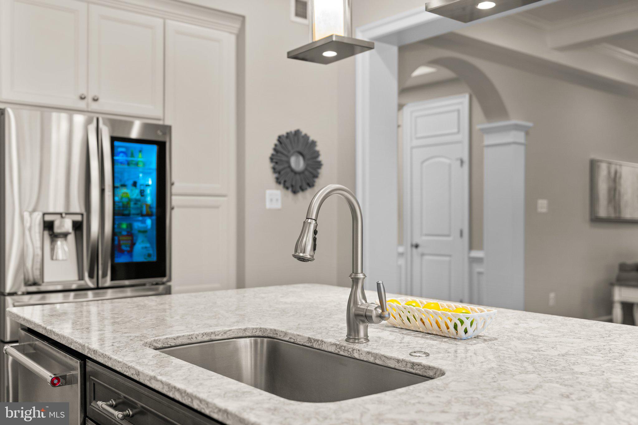 ORCHARD AT BROWNS BRIDGE - Residential