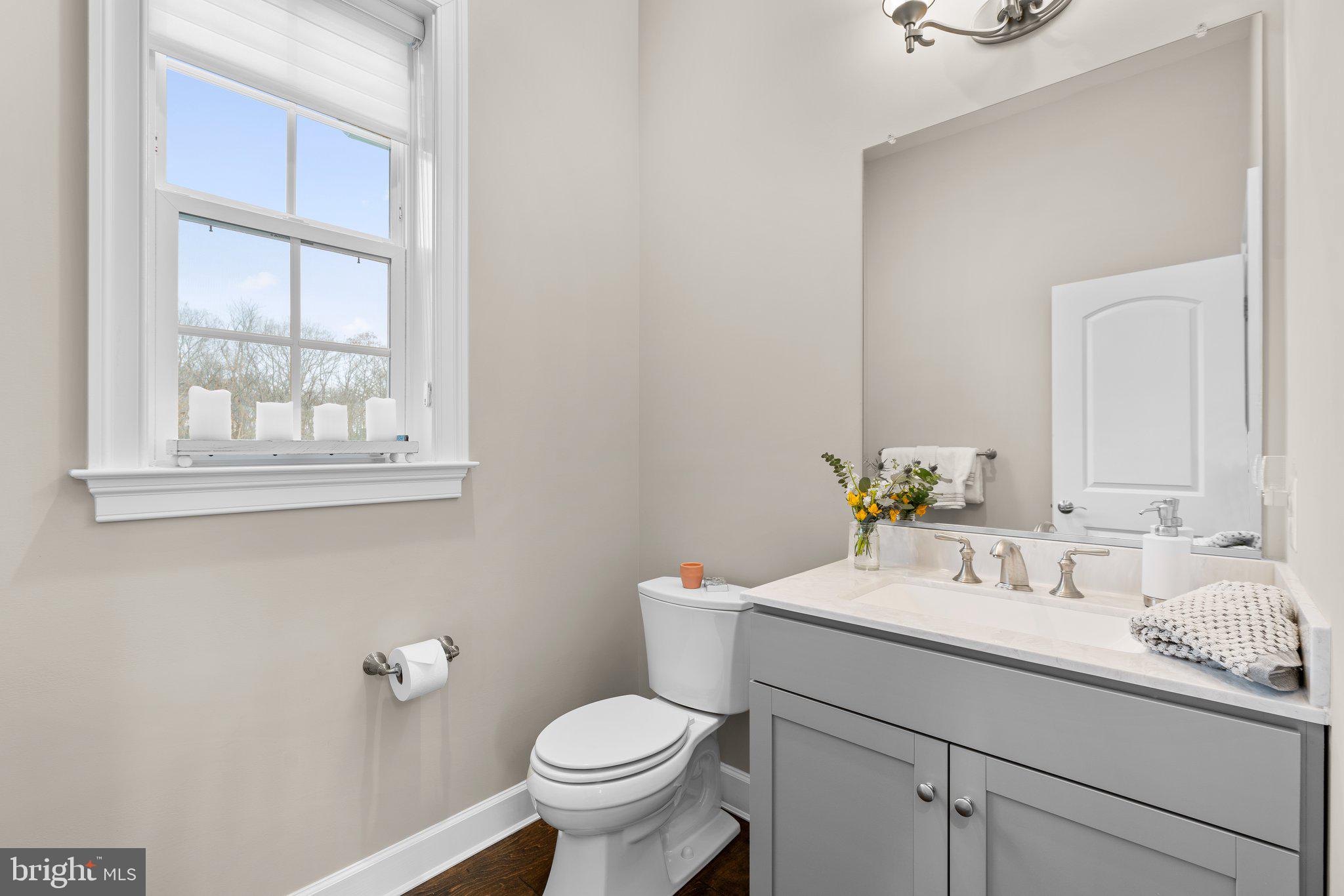 ORCHARD AT BROWNS BRIDGE - Residential