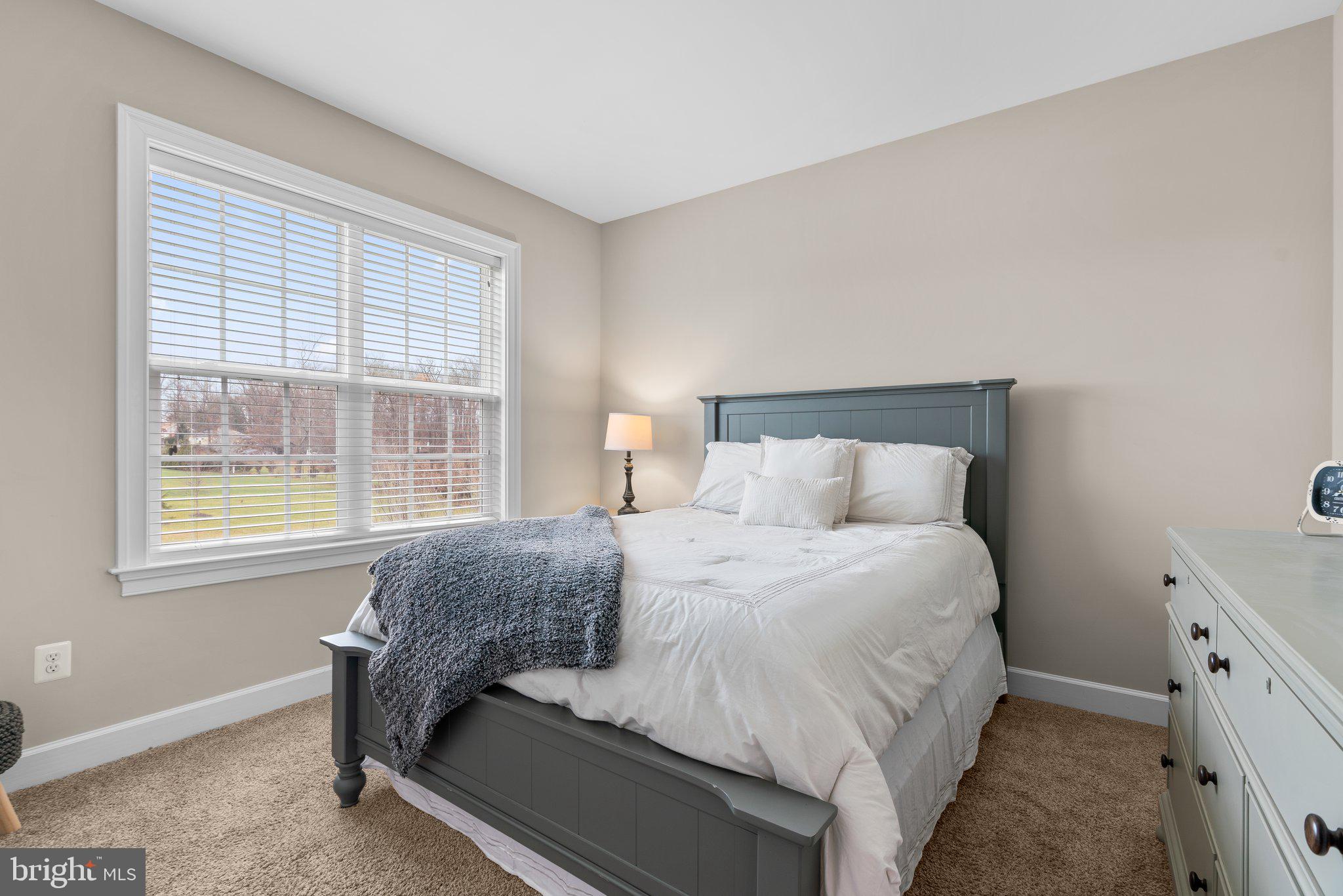 ORCHARD AT BROWNS BRIDGE - Residential