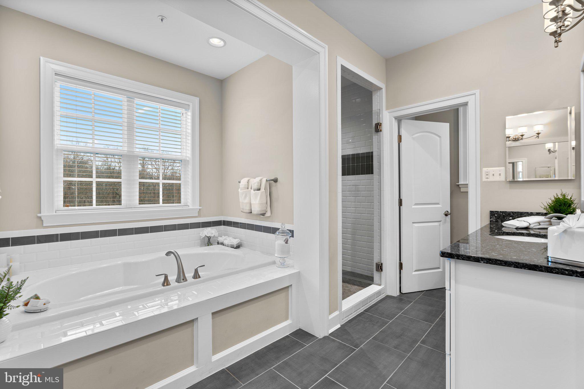 ORCHARD AT BROWNS BRIDGE - Residential