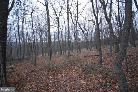 Lot 88 WAKEMAN DRIVE AUGUSTA WV 26704