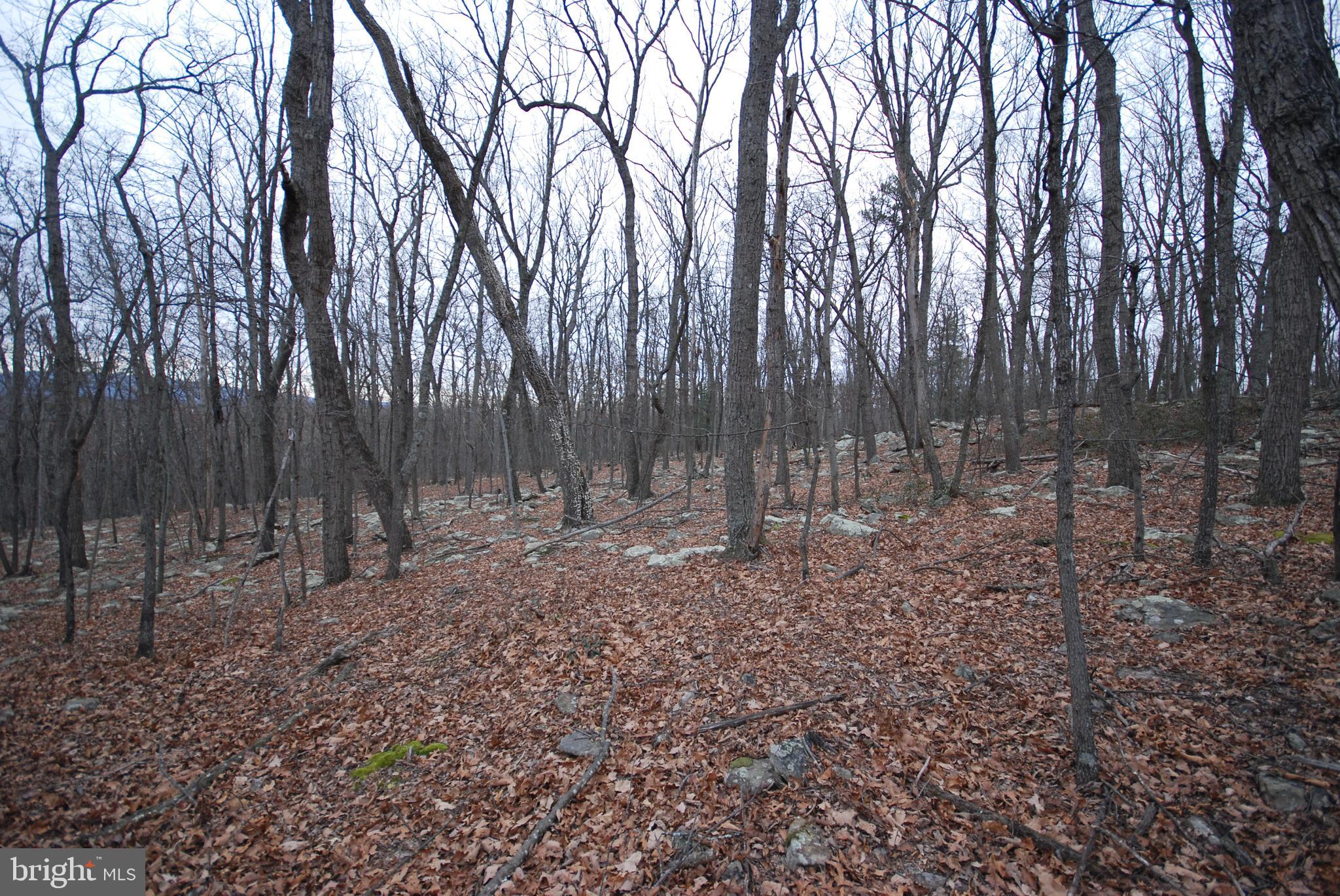 Lot 88 WAKEMAN DRIVE