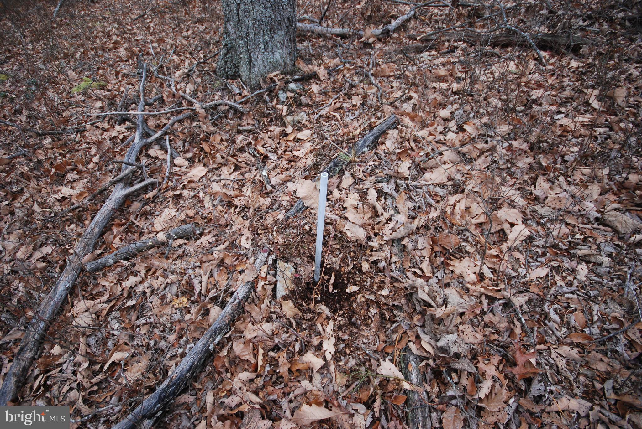 Lot 88 WAKEMAN DRIVE