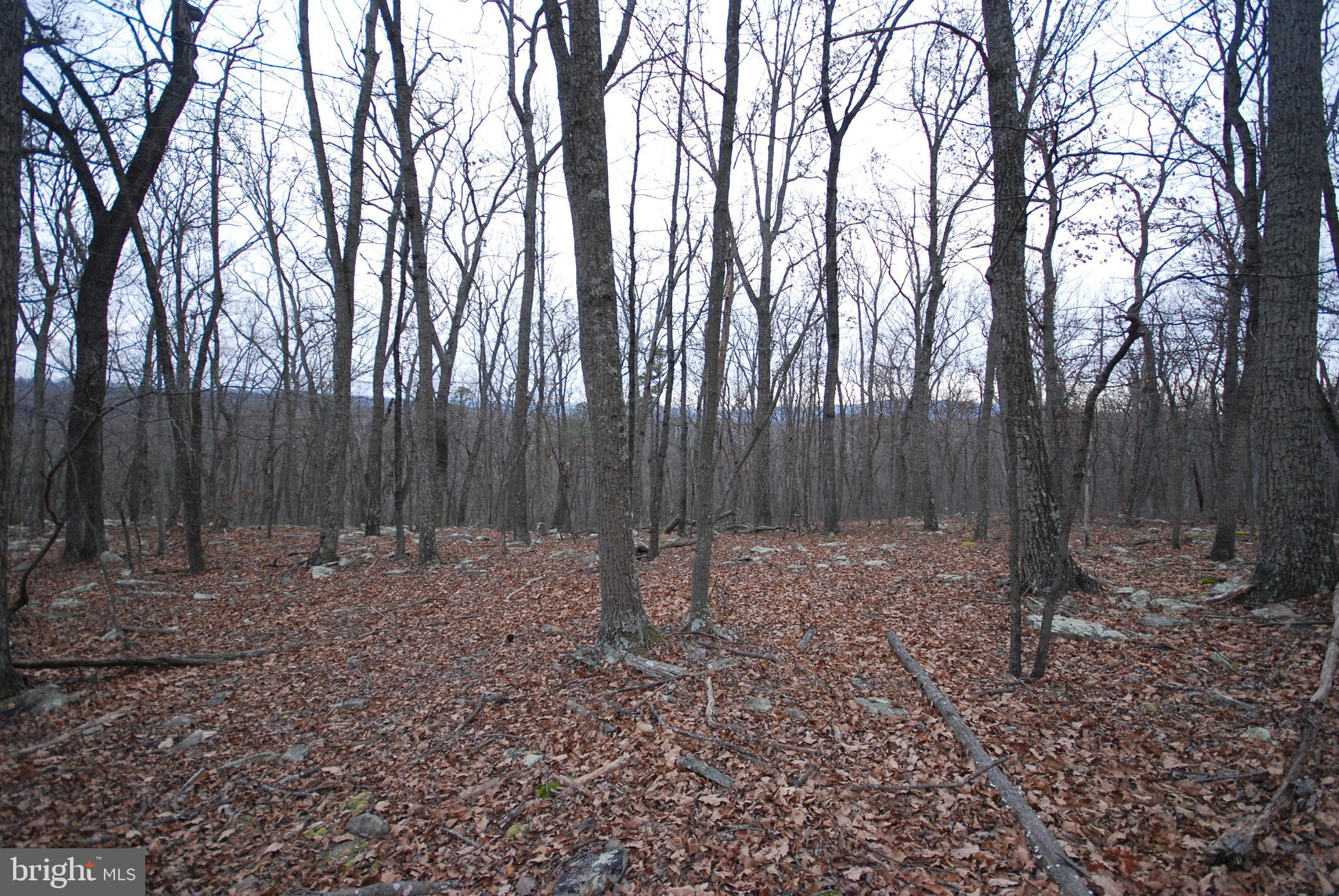 STAGECOACH STOP @ CAPON BRIDGE - Land