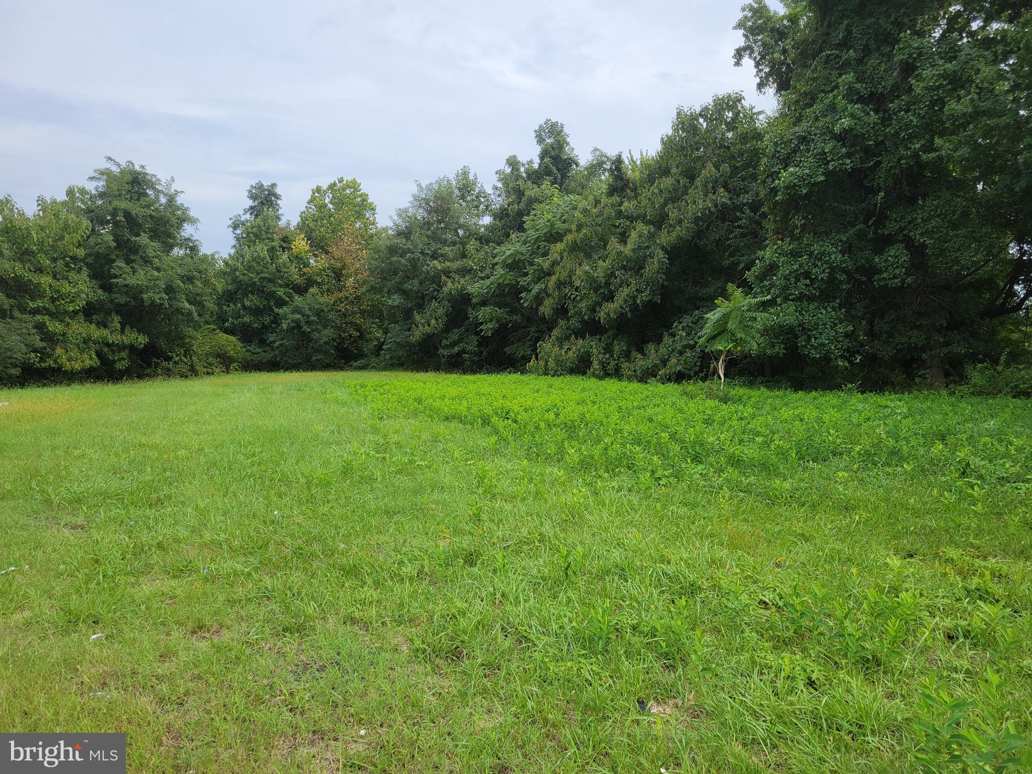 NONE AVAILABLE - Land