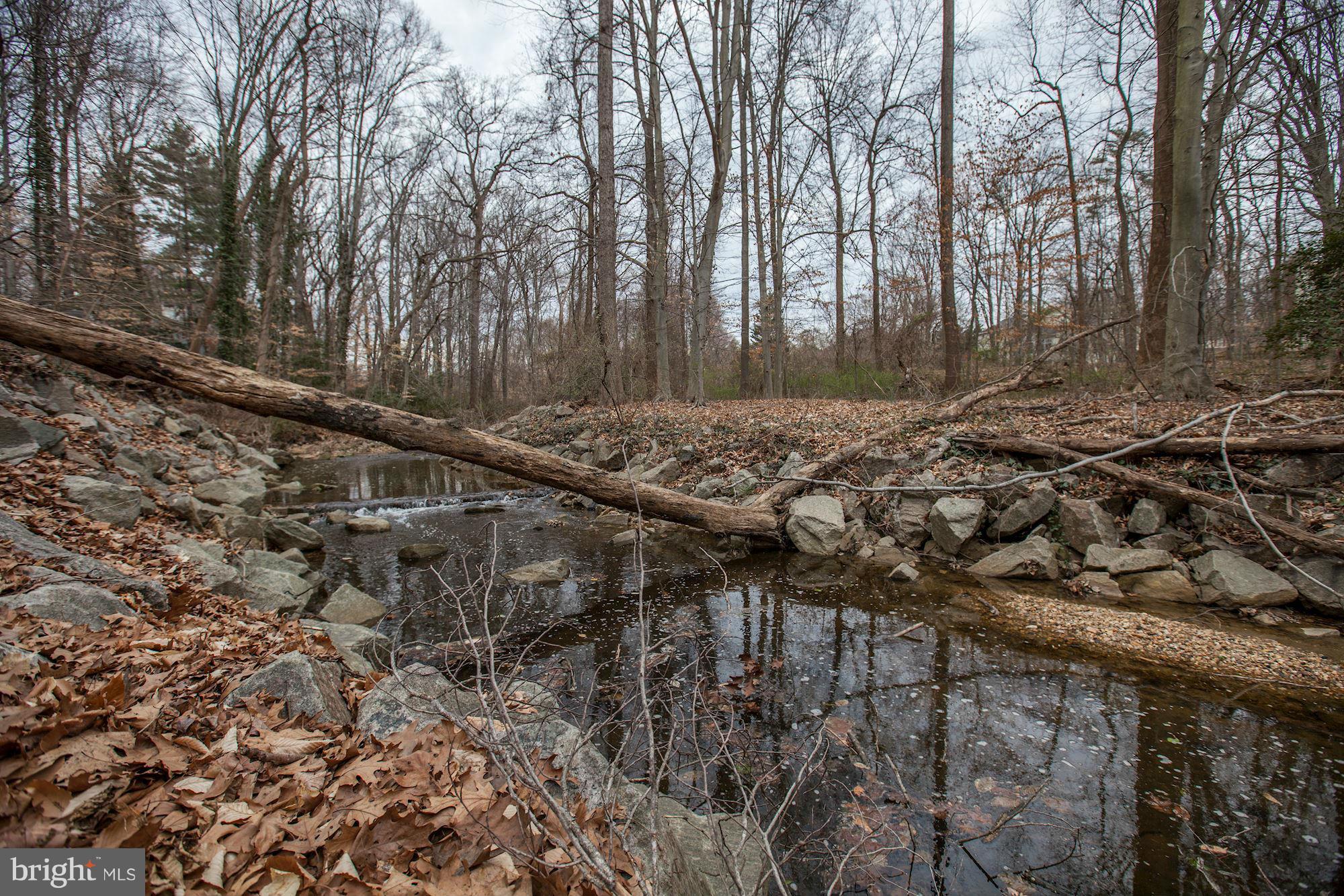 NORTH SPRINGFIELD - Residential