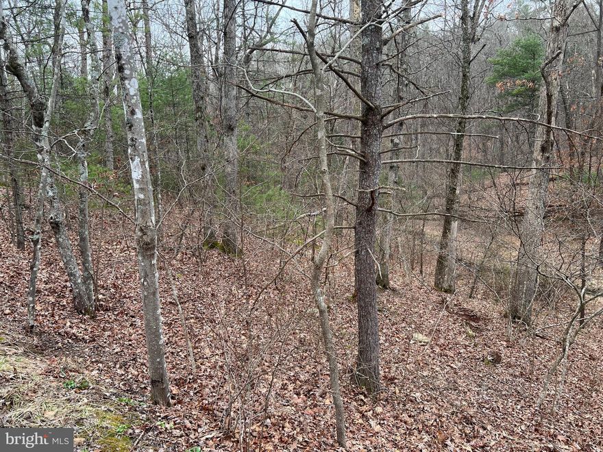 Right location, right price! Your very own .439 acres at Bryce Resort offering a gentle slope for a walkout basement and plenty of room for outdoor activities! Situated in a very quiet part of Bryce, yet convenient to state roads and just minutes from all amenities. Take a look, then bring your builder and your plans and let's get started on your dream getaway! Water and sewer come to the lot line and all utilities are underground.