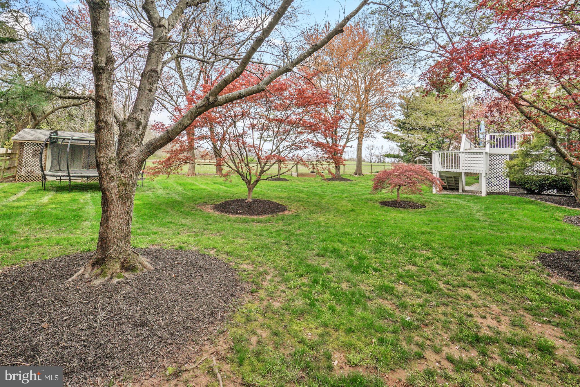 ELIZABETH'S DELIGHT - Residential