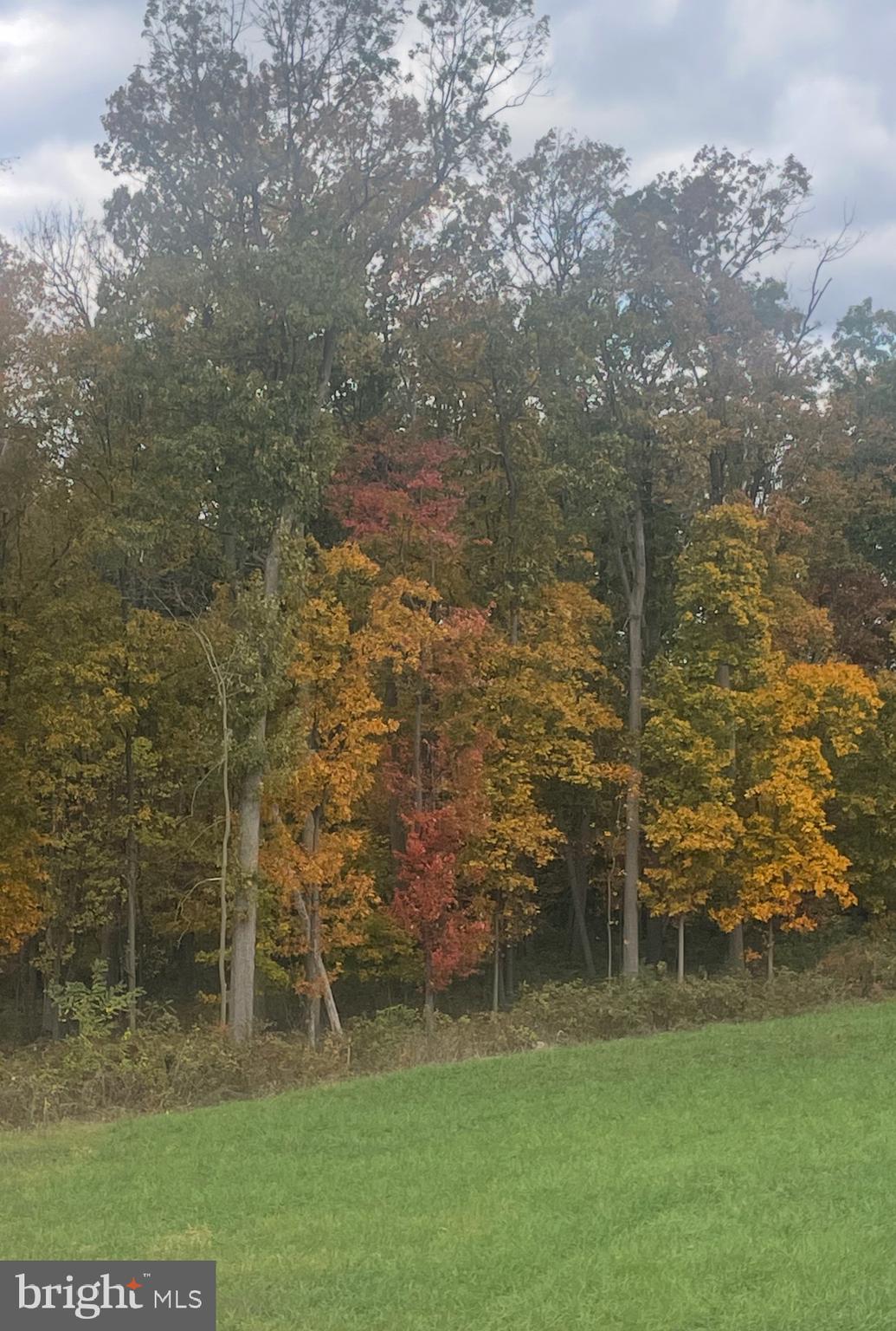 PRINLAND HEIGHTS - Residential