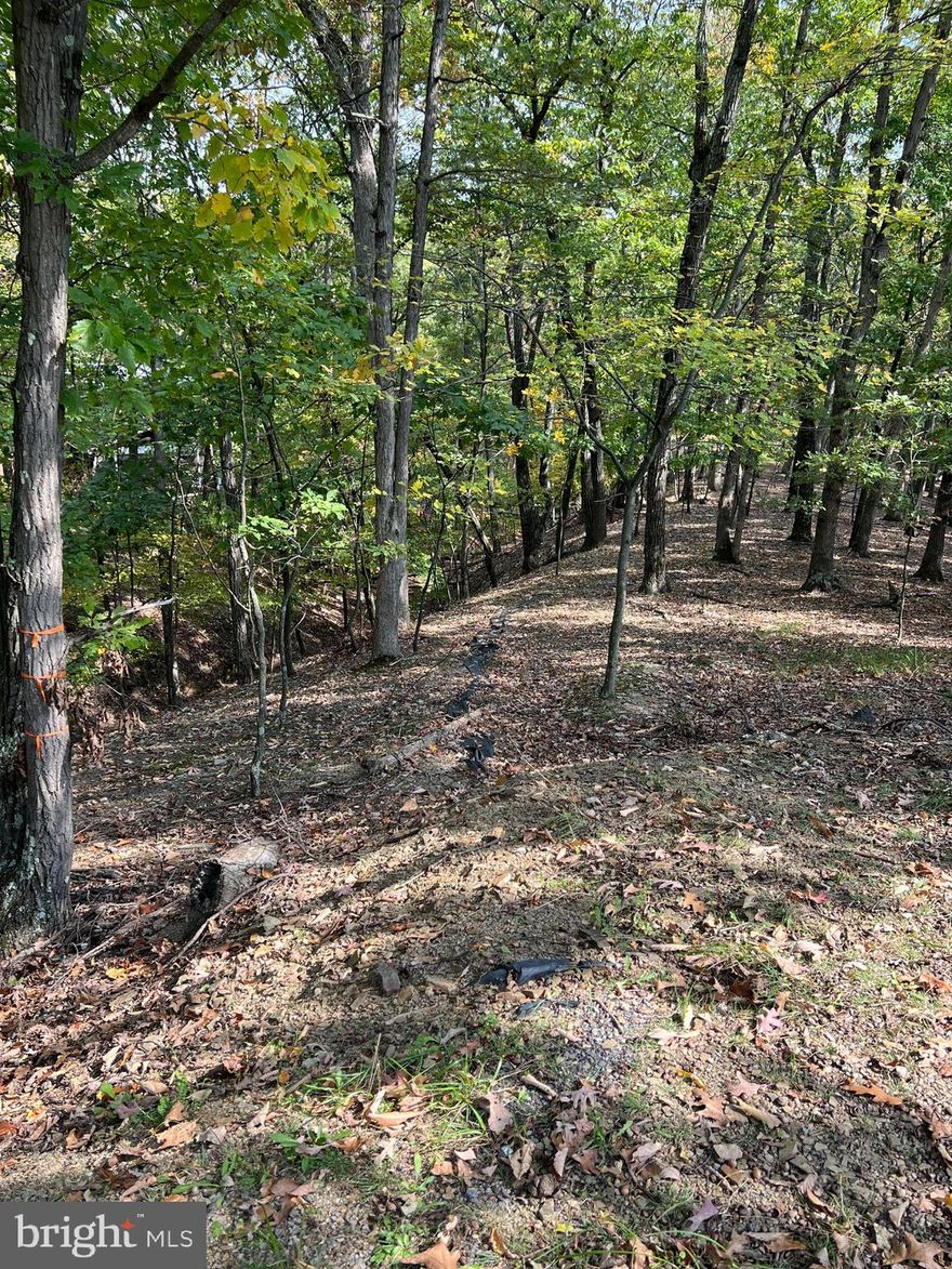 Planning your dream build?  This quiet, hidden property could be the one for you.  This property is at the end of a street with plenty of trees and a stream.  Henry Dr has been recently repaved and the entrance to this property is private and quiet. Take a few minutes to come see this beautiful lot!