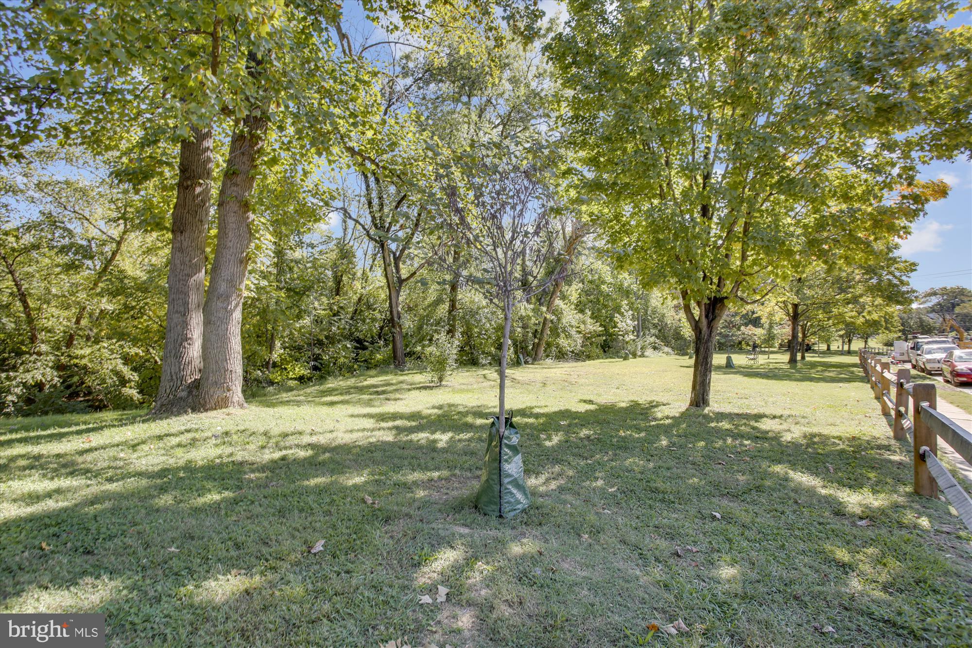 GROVE AT ARLINGTON - Residential