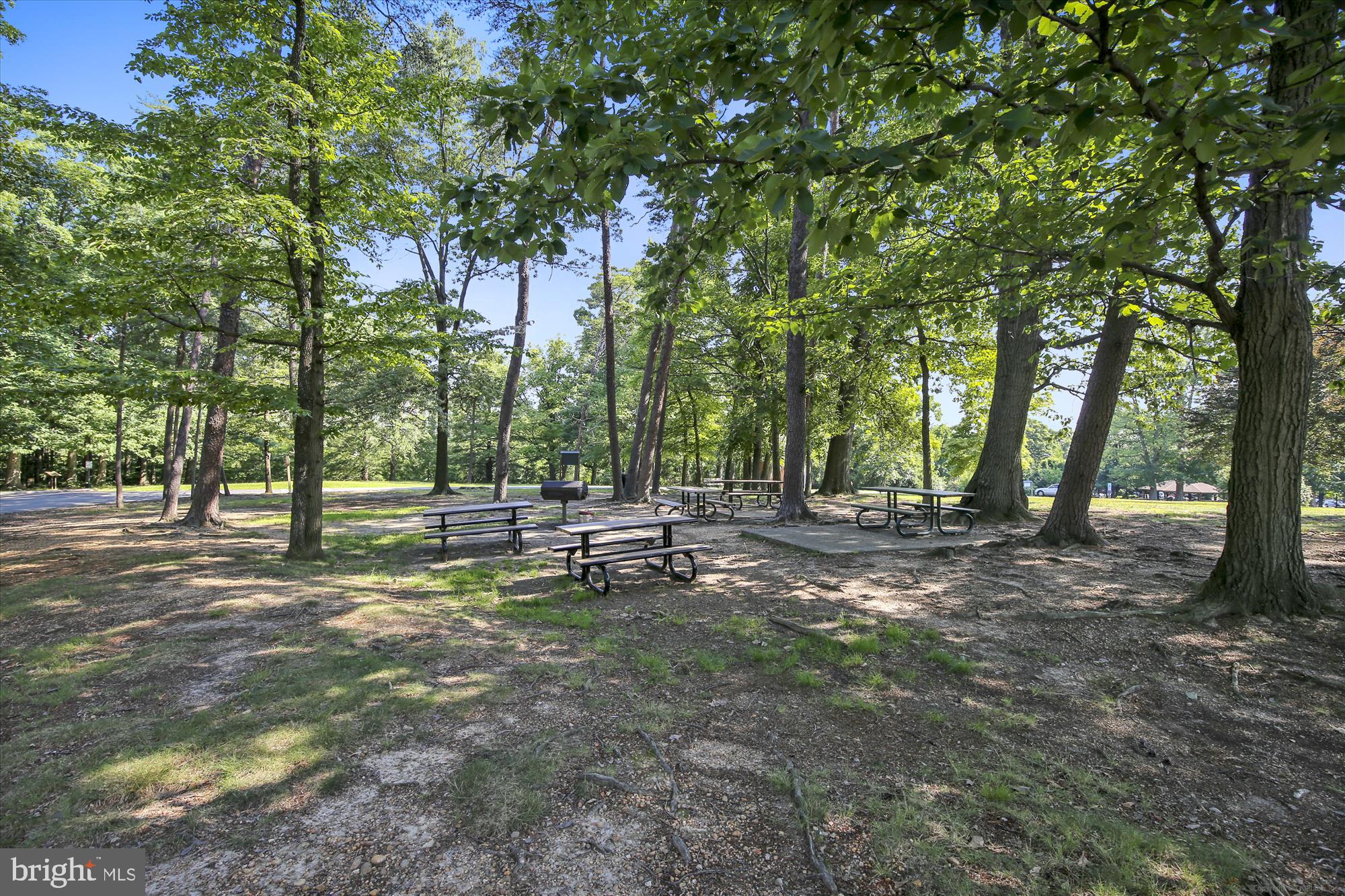 GROVE AT ARLINGTON - Residential