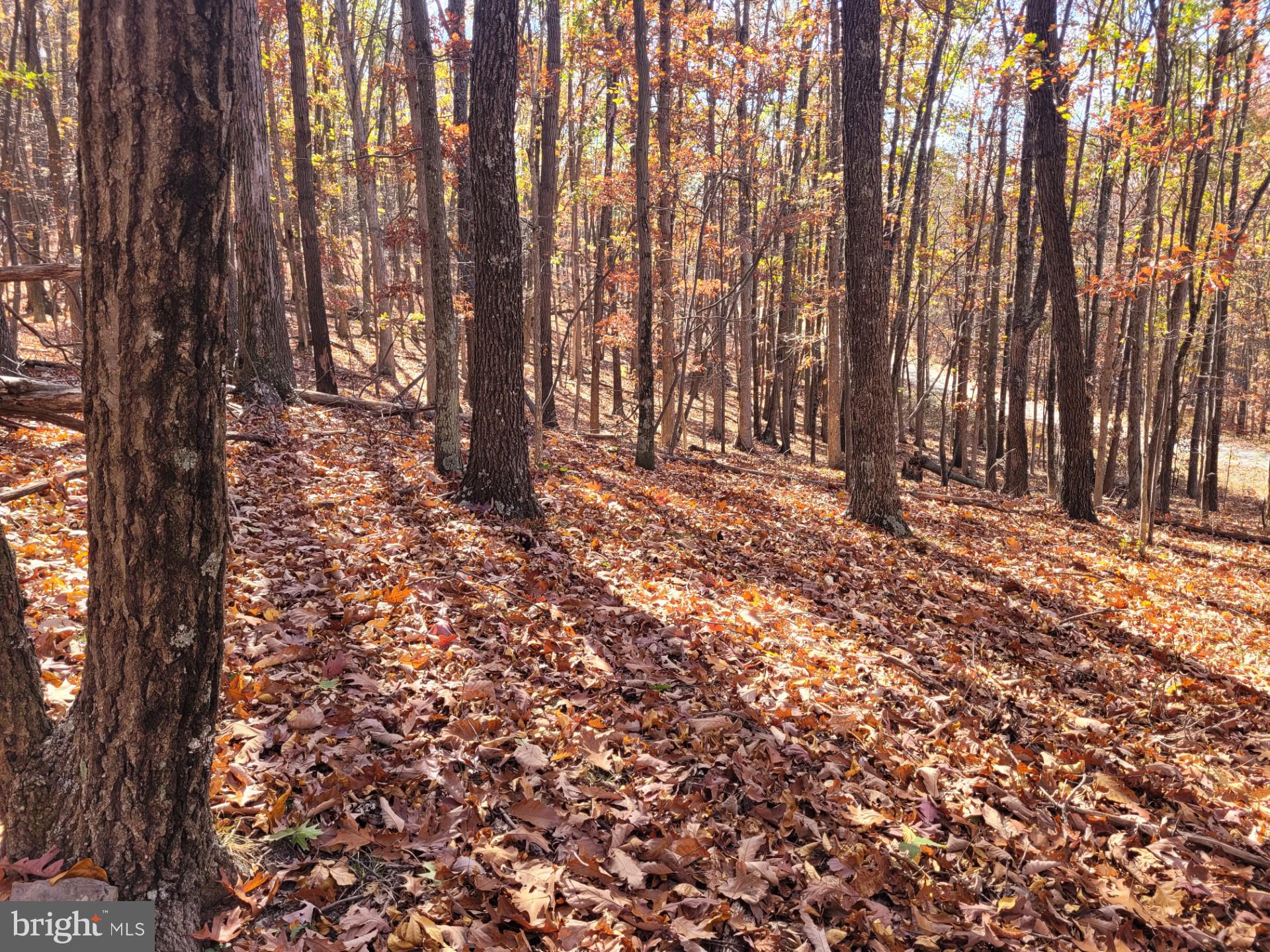 CACAPON MOUNTAIN RETREAT - Land