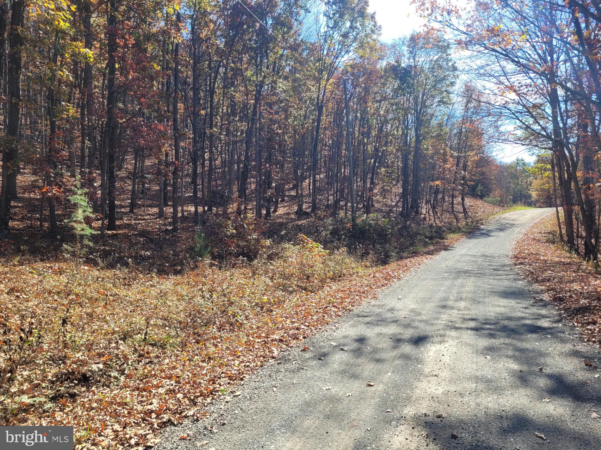 CACAPON MOUNTAIN RETREAT - Land