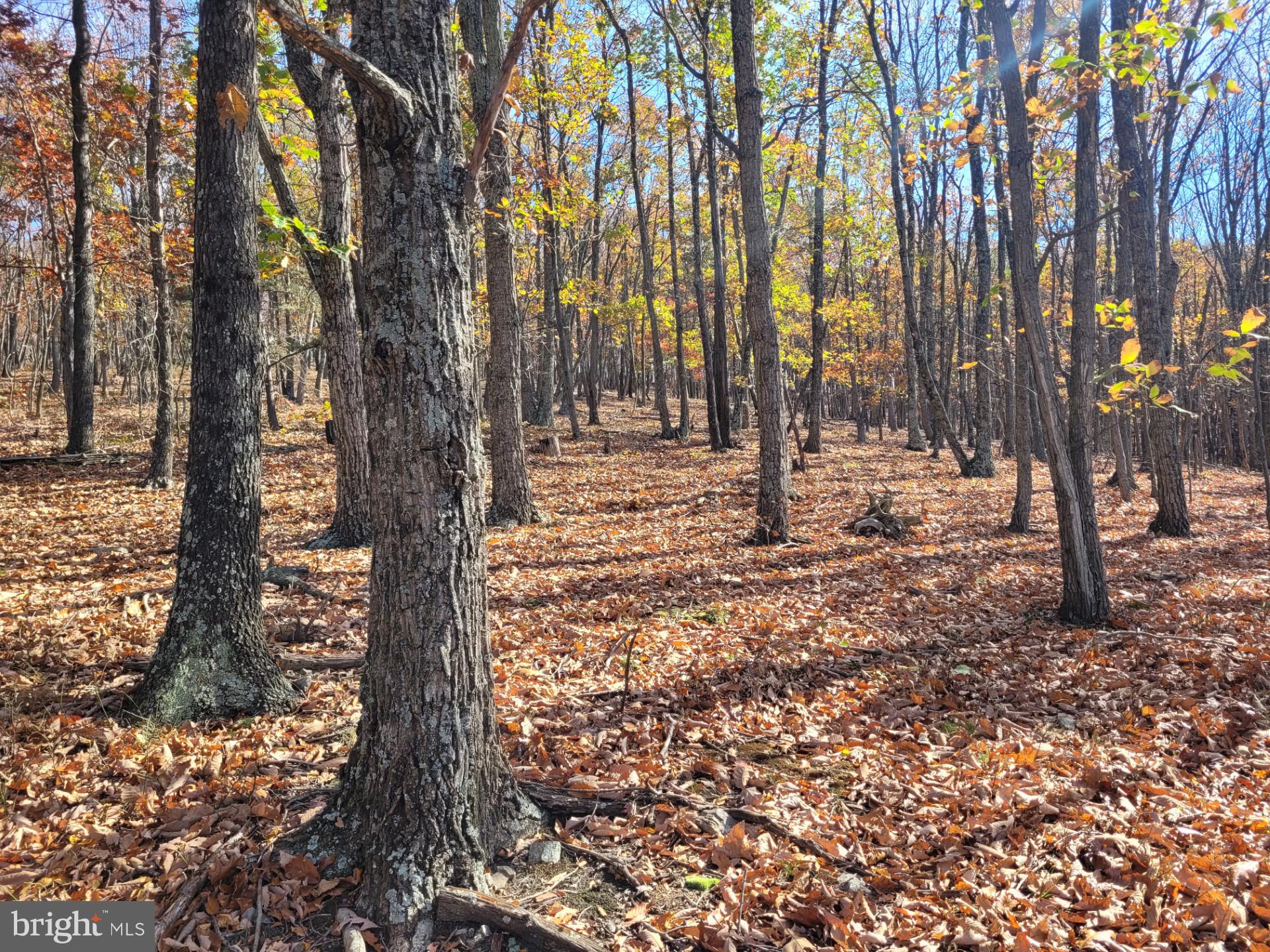 CACAPON MOUNTAIN RETREAT - Land