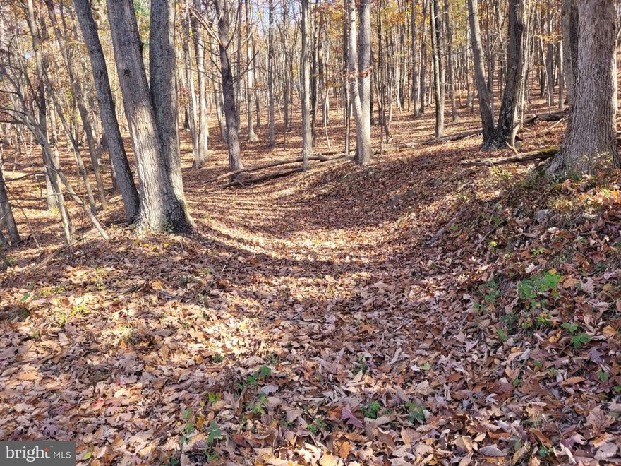 PRICE REDUCED! WHERE CAN YOU FIND 10 WOODED ACRES WITH GREAT ACCESS, PARTIAL DRIVEWAY, AND ELECTRIC READILY AVAILABLE, AS WELL AS PRIVATE ACCESS TO THE LITTLE CACAPON RIVER FOR $42,500???  This 9.37 ACRE tract is one of the best deal's you will find in today's market! PRIVATE & SECLUDED, LOW TRAFFIC AREA, ESCAPE TO THE HILLS HERE IN CACAPON MOUNTAIN RETREAT. This property has lots to offer, it fronts on a STATE MAINTAINED & DEVELOPMENT road, ELECTRIC readily available, NICE ROAD/DRIVEWAY ALREADY INSTALLED, camper's allowed (just can't leave them sit there all year) , EXCELLENT BOW HUNTING,  IF YOU ARE LOOKING FOR THE PERFECT WEEKEND CAMPSITE, OR THE PERFECT SPOT TO BUILD YOUR CABIN OR YOUR FOREVER HOME THIS IS IT. Property is easily accessible off of a state maintained rd., quiet and friendly community, very private and secluded, property lays nice, development roads are in great shape too. ATV FRIENDLY, BRINGYOUR ATV OR SIDE BY SIDE, LOTS OF SCENIC RIDING YOU CAN DO, ALSO THERE IS A 7 ACRE COMMON AREA FRONTING ON THE LITTLE CACAPON RIVER, WHICH YOU WILL HAVE ACCESS TO. Don't wait around, THIS PROPERTY CHECKS ALL THE BOXES, AND AT AN AFFORDABLE PRICE!!!! TONS OF DEER, TURKEY, AND THE OCCASIONAL BLACK BEAR, ABUNDANT WV WILDLIFE