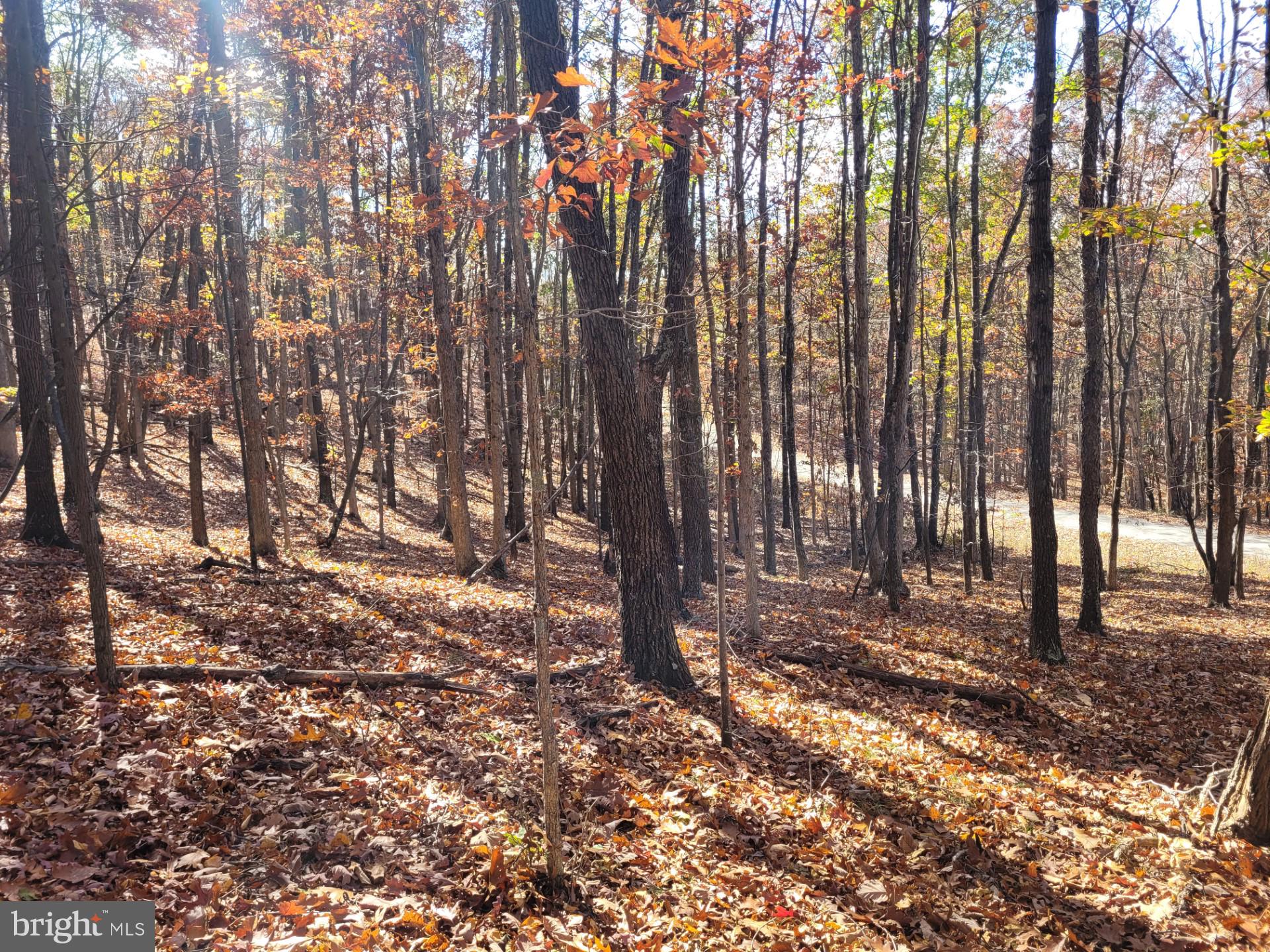 CACAPON MOUNTAIN RETREAT - Land