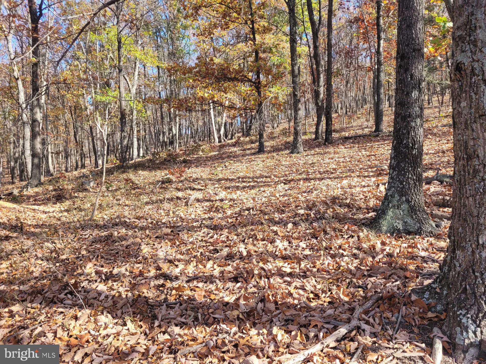 CACAPON MOUNTAIN RETREAT - Land