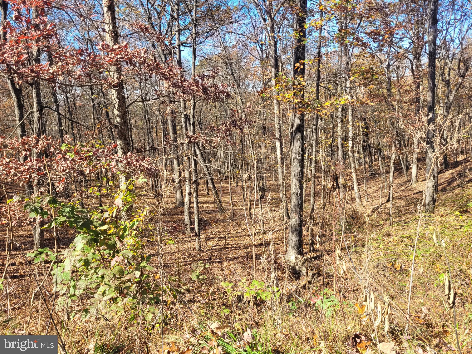 CACAPON MOUNTAIN RETREAT - Land