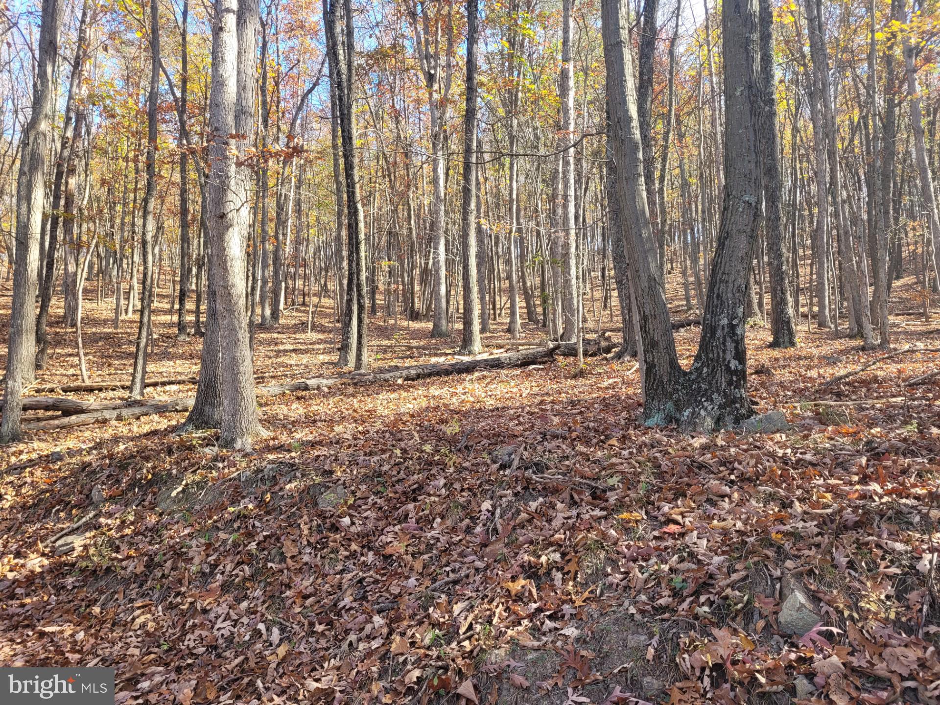 CACAPON MOUNTAIN RETREAT - Land