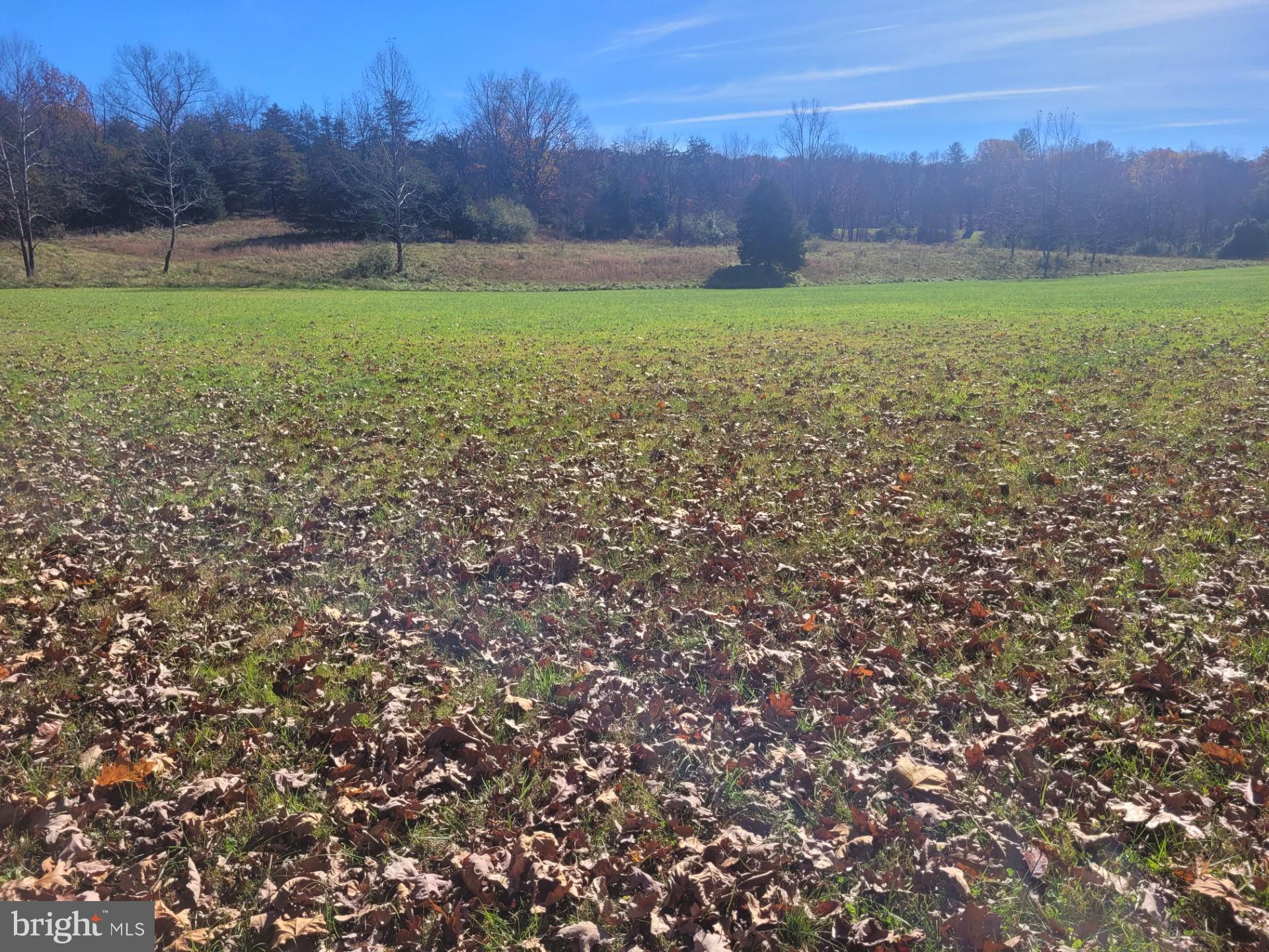 CACAPON MOUNTAIN RETREAT - Land