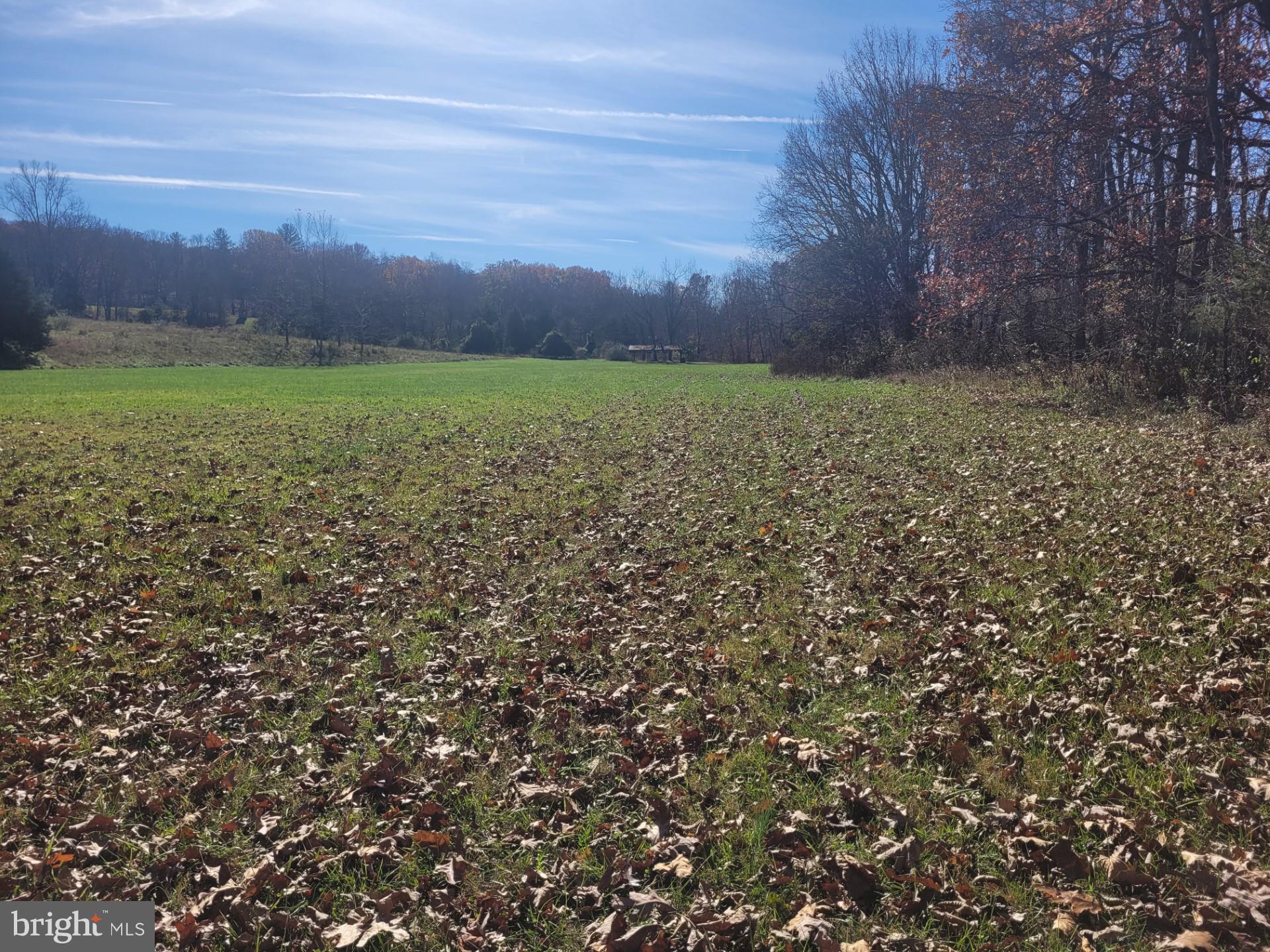 CACAPON MOUNTAIN RETREAT - Land