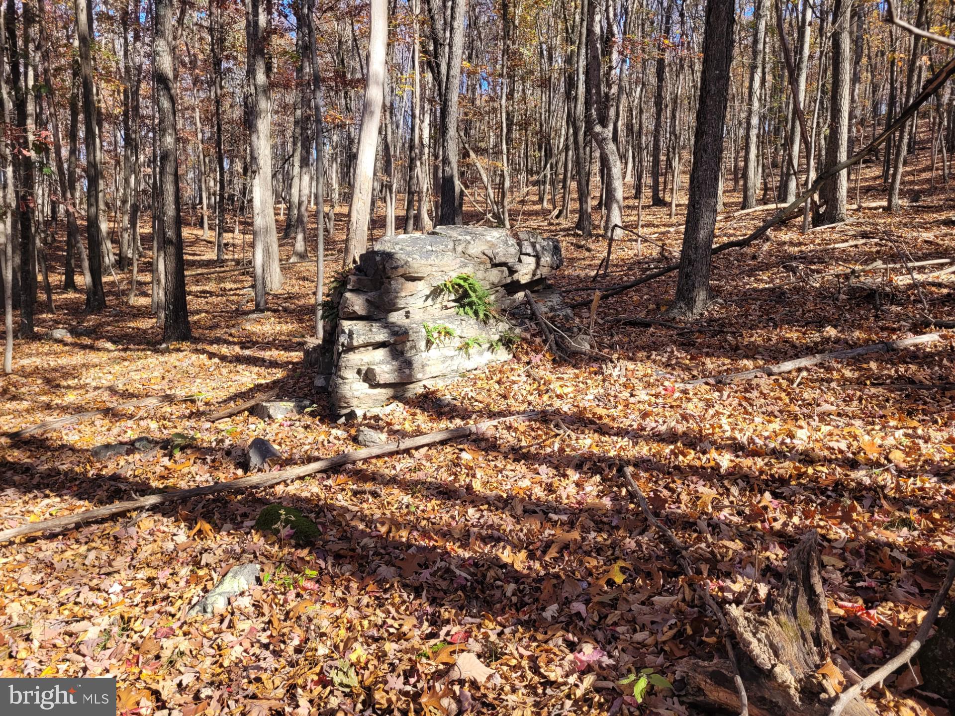 CACAPON MOUNTAIN RETREAT - Land